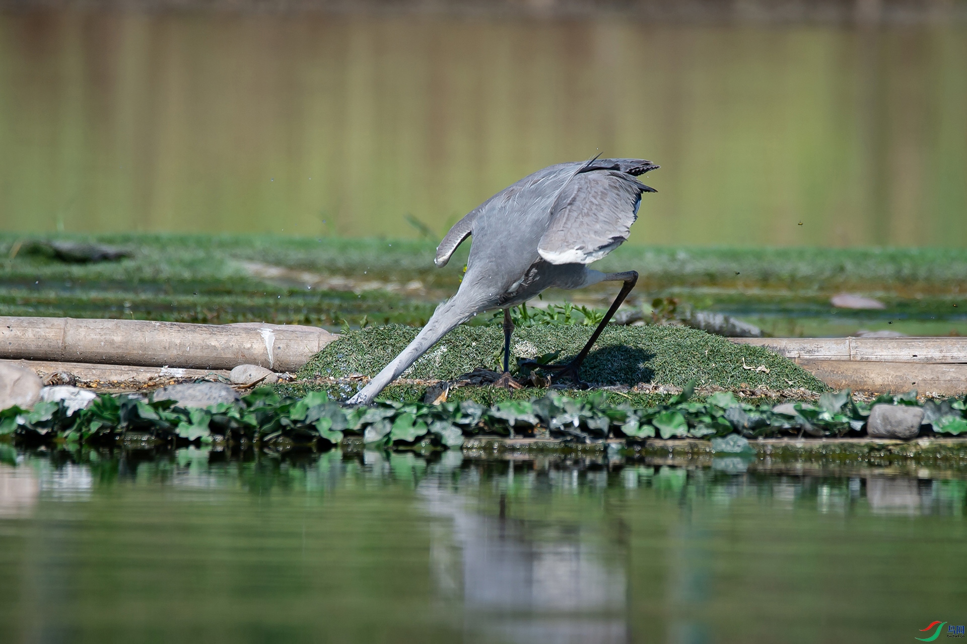 _DSC1808-20220521�ü�-.jpg