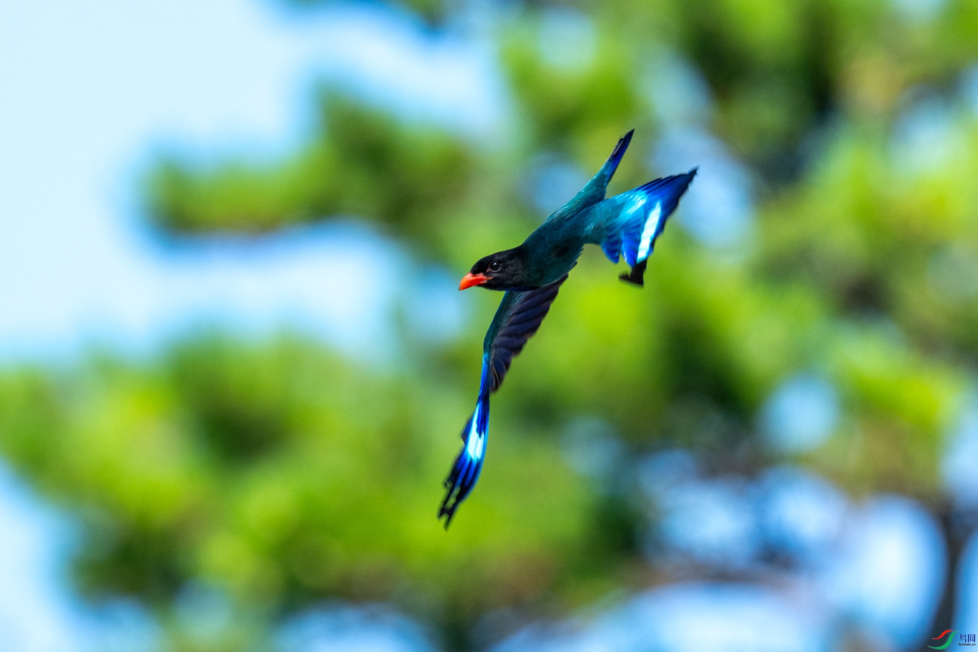 DSC_2580.jpg