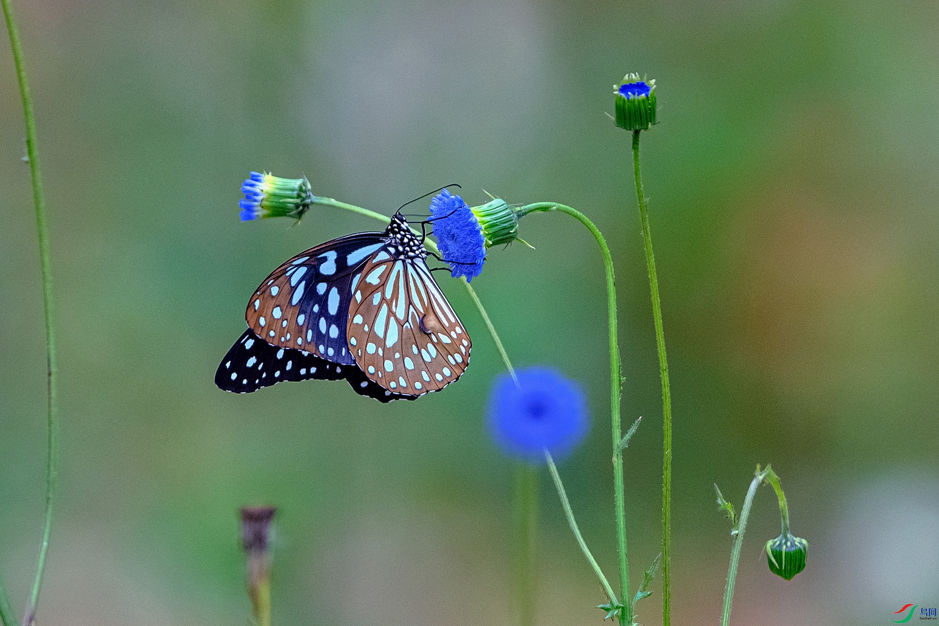 _AUU5400 ����(26.5.2).jpg