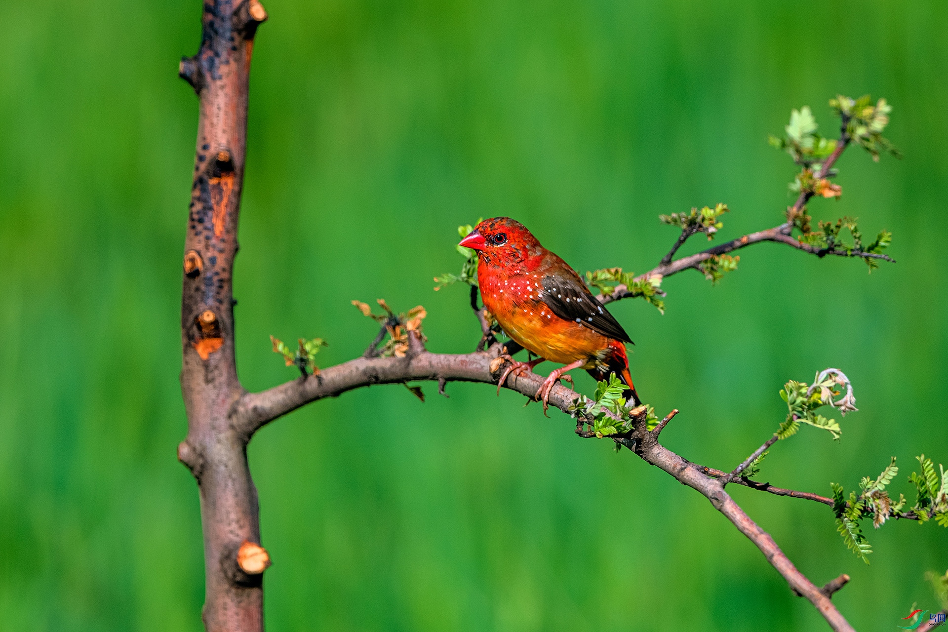 _AUU6327 ��÷��ȸ(25.7.7).jpg