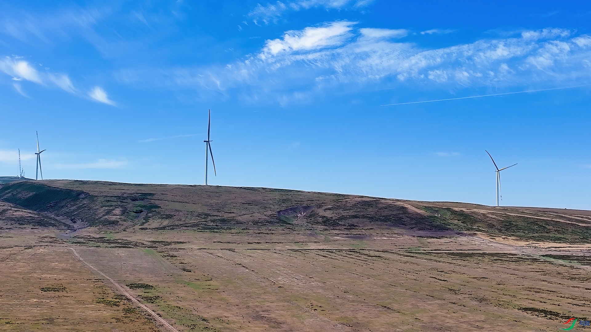 DJI_20260621115700_0003_D.jpg
