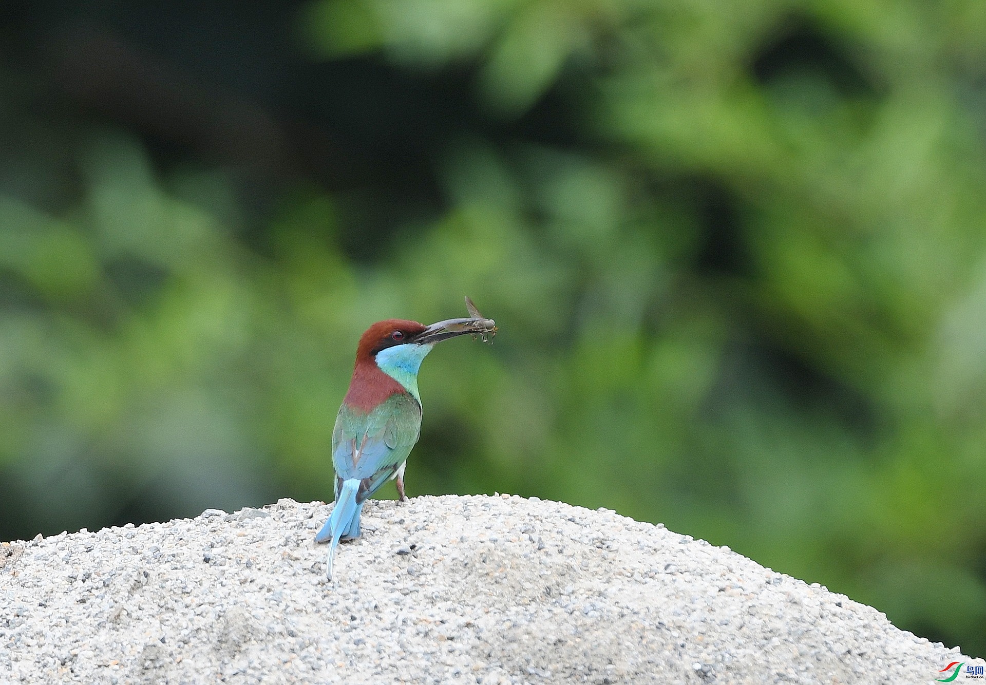 DSC_0379.jpg