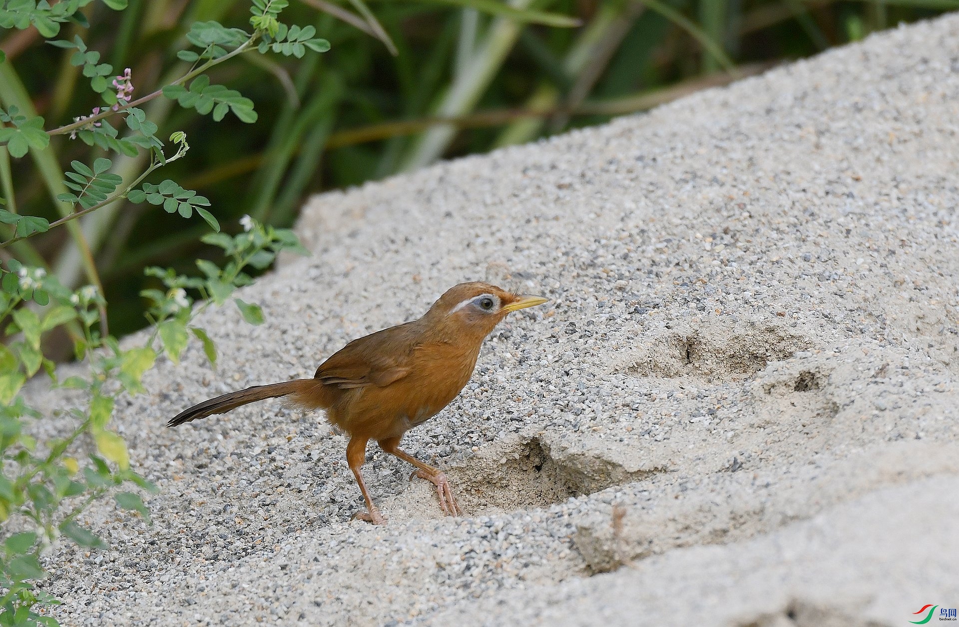 DSC_9848.jpg