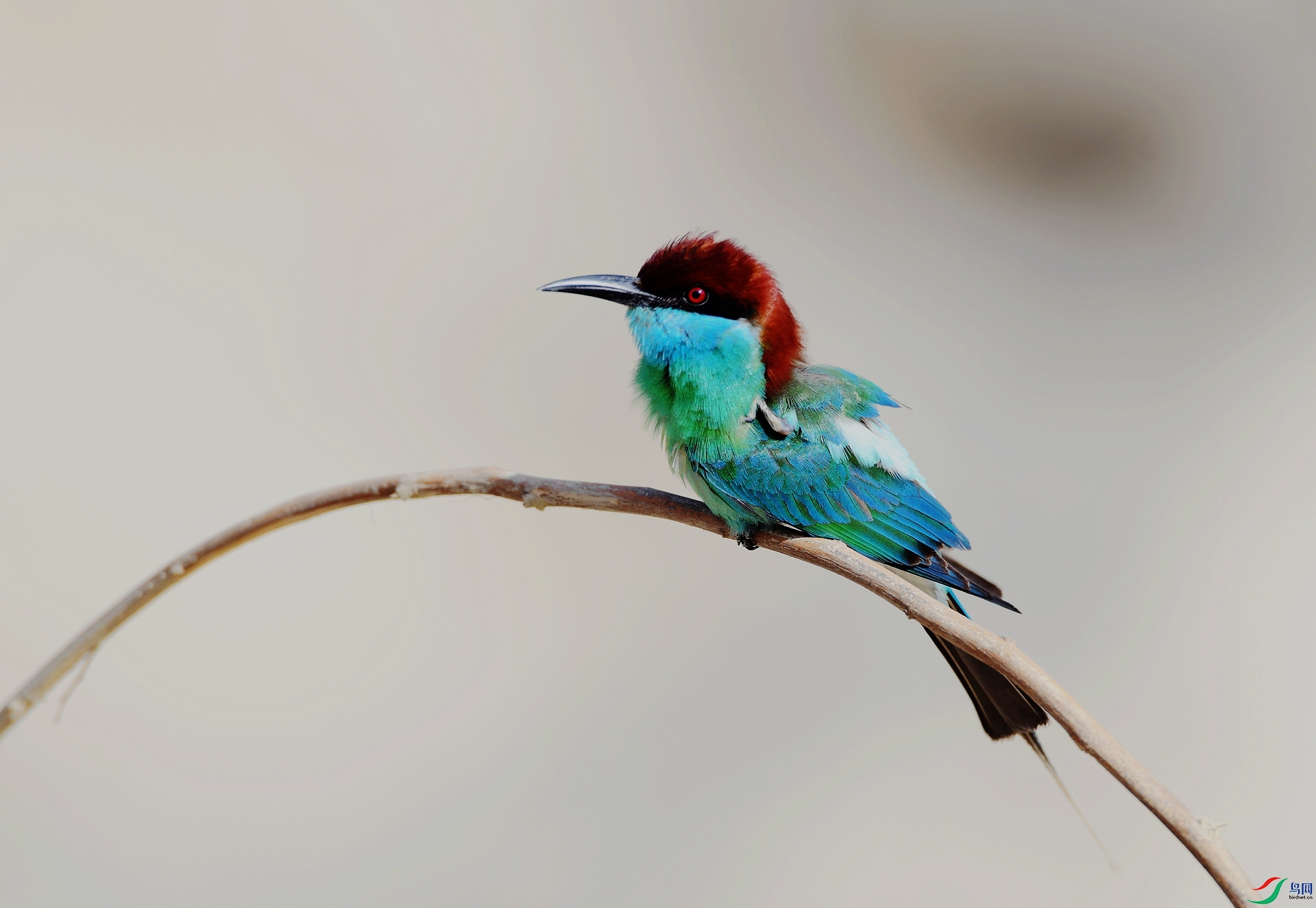 DSC_6694.jpg
