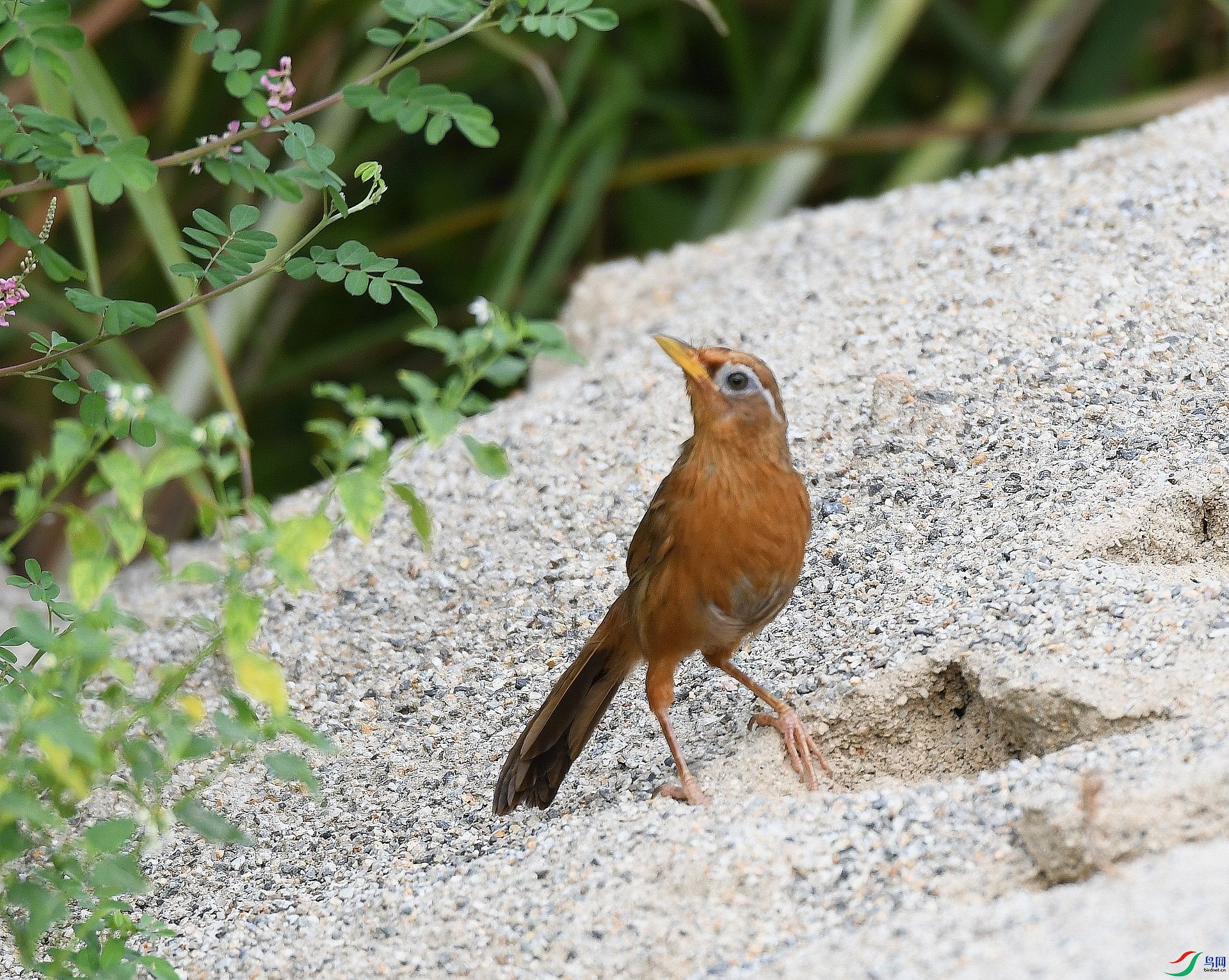 DSC_9845.jpg