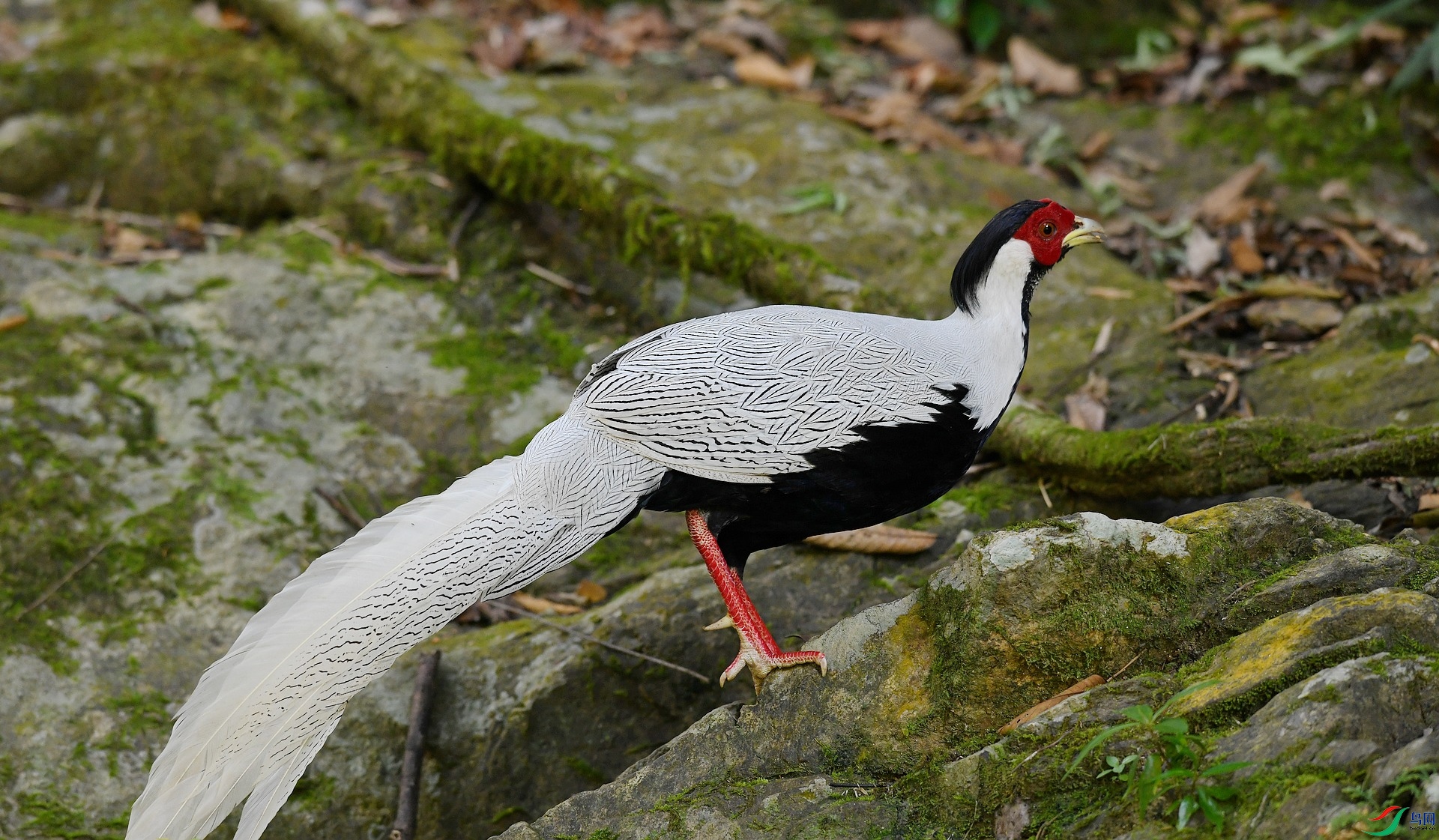 DSC_6223.jpg