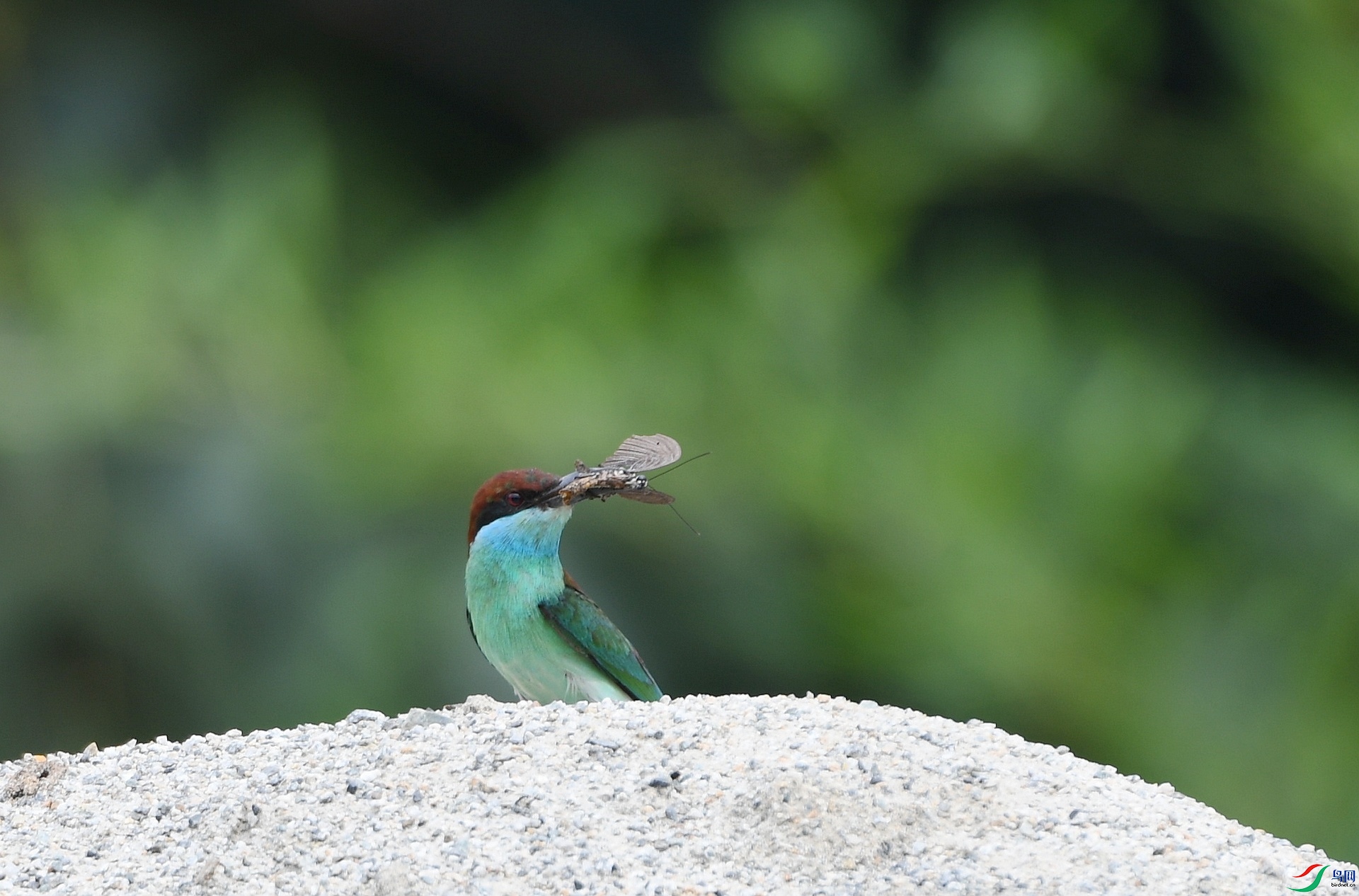 DSC_0248.jpg