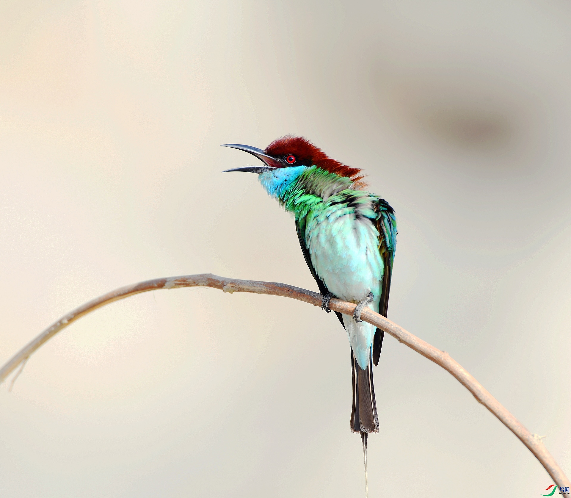 DSC_6693.jpg