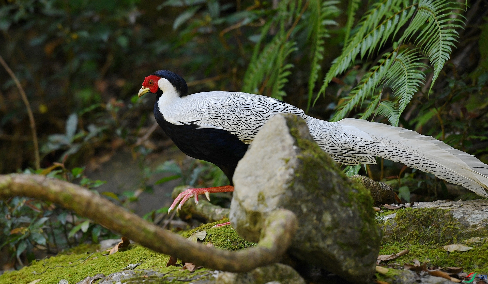 DSC_6200.jpg
