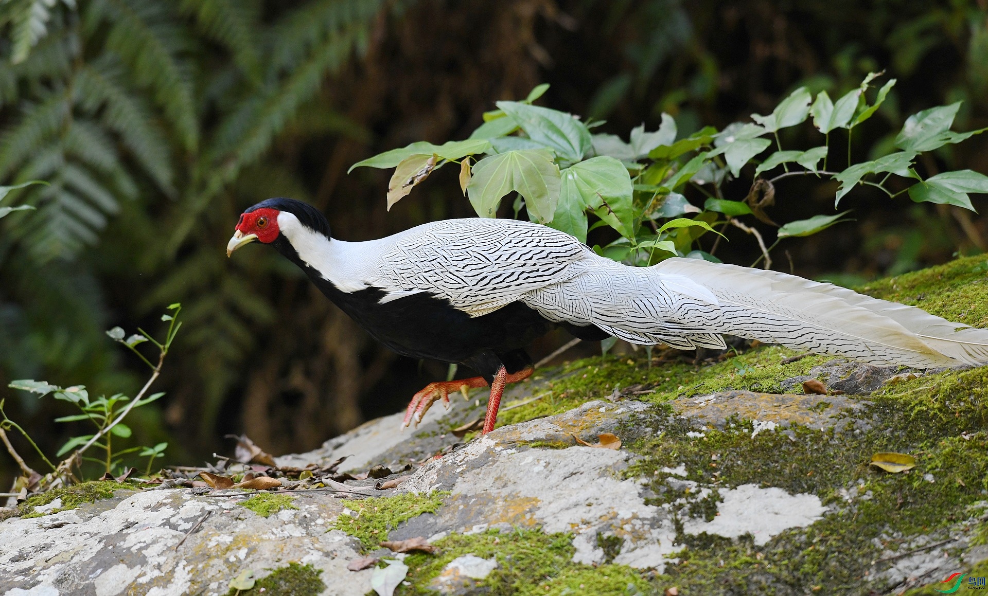 DSC_6202.jpg