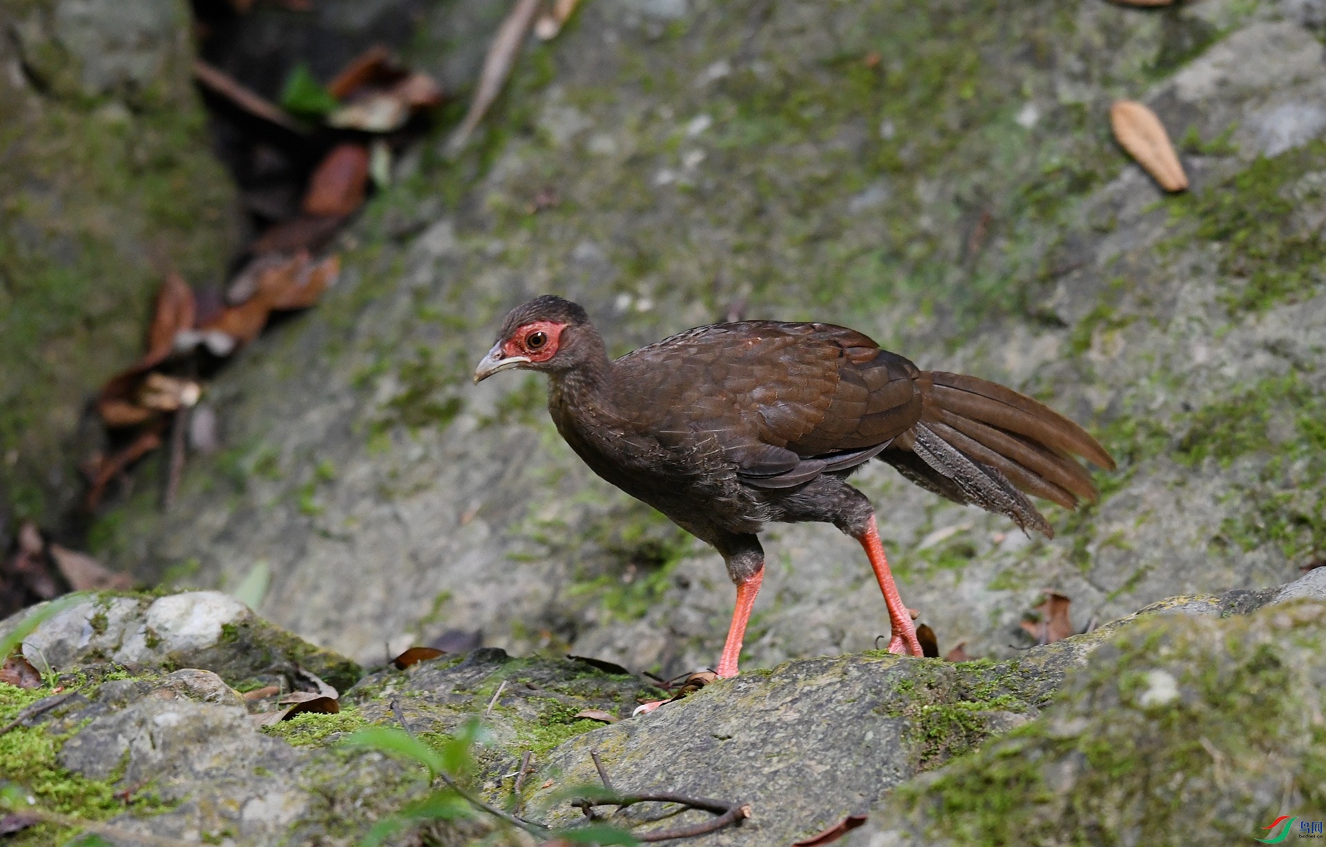 DSC_2695.jpg
