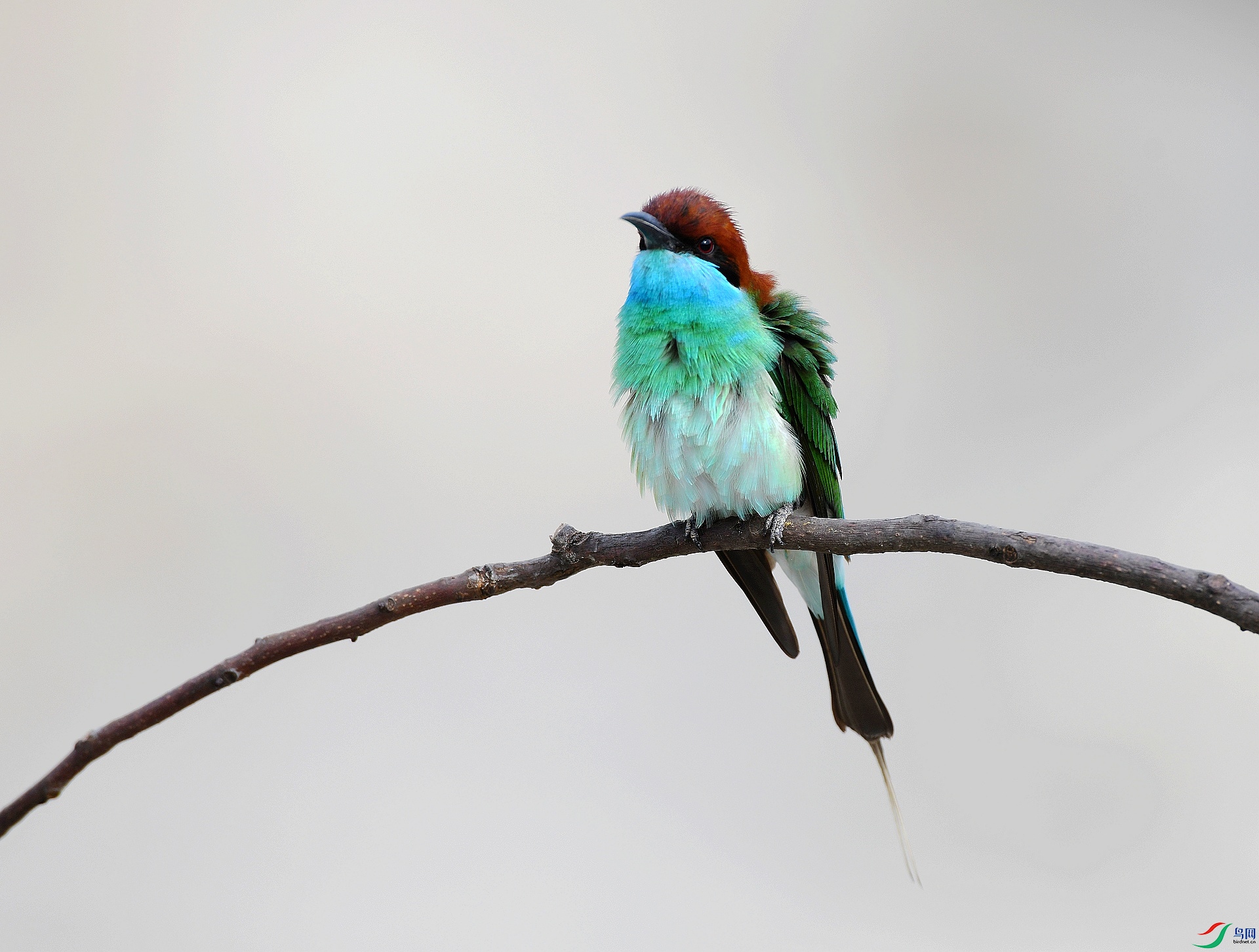 DSC_9978.jpg