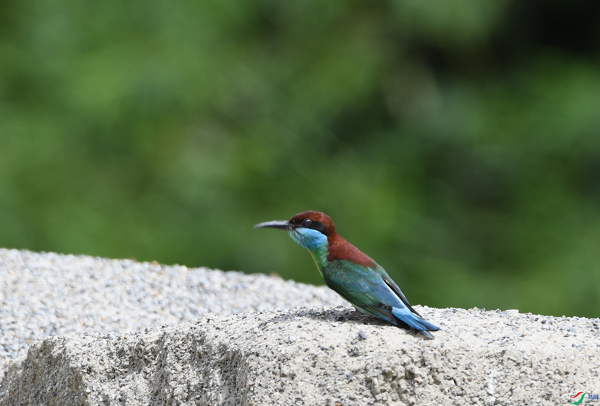 DSC_0224.jpg