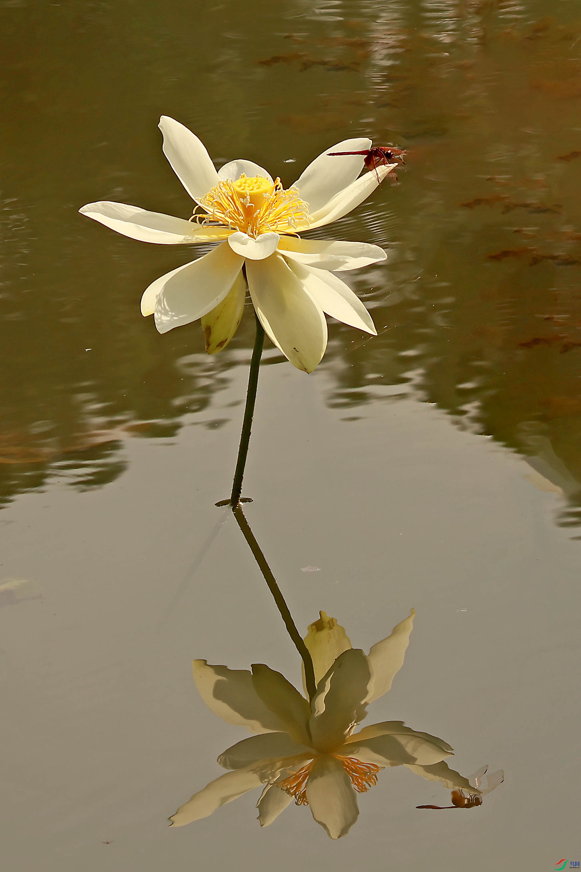 2G9A3438.JPG