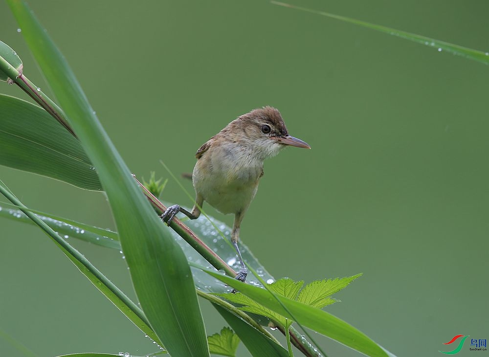 D72T1100.JPG
