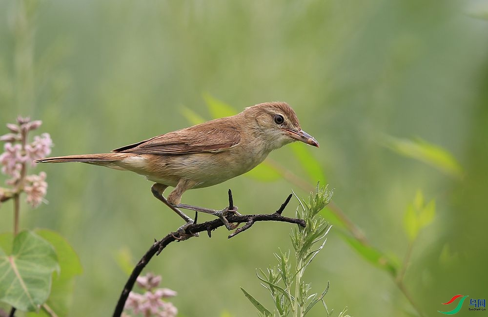 D72T0495.JPG
