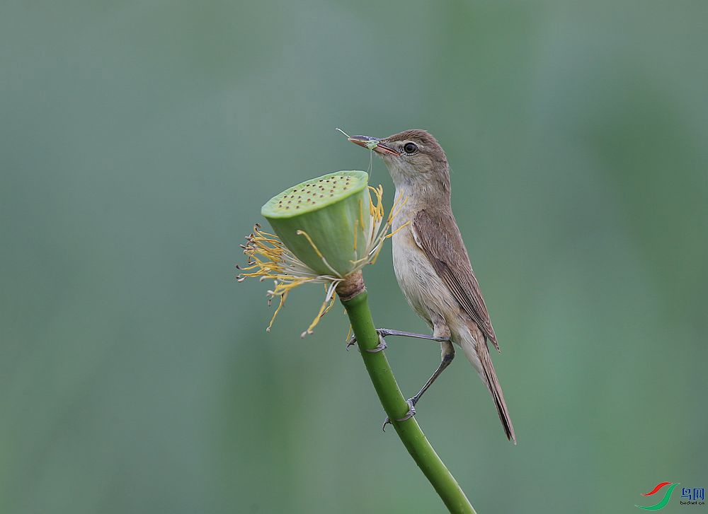 D72T0571.JPG