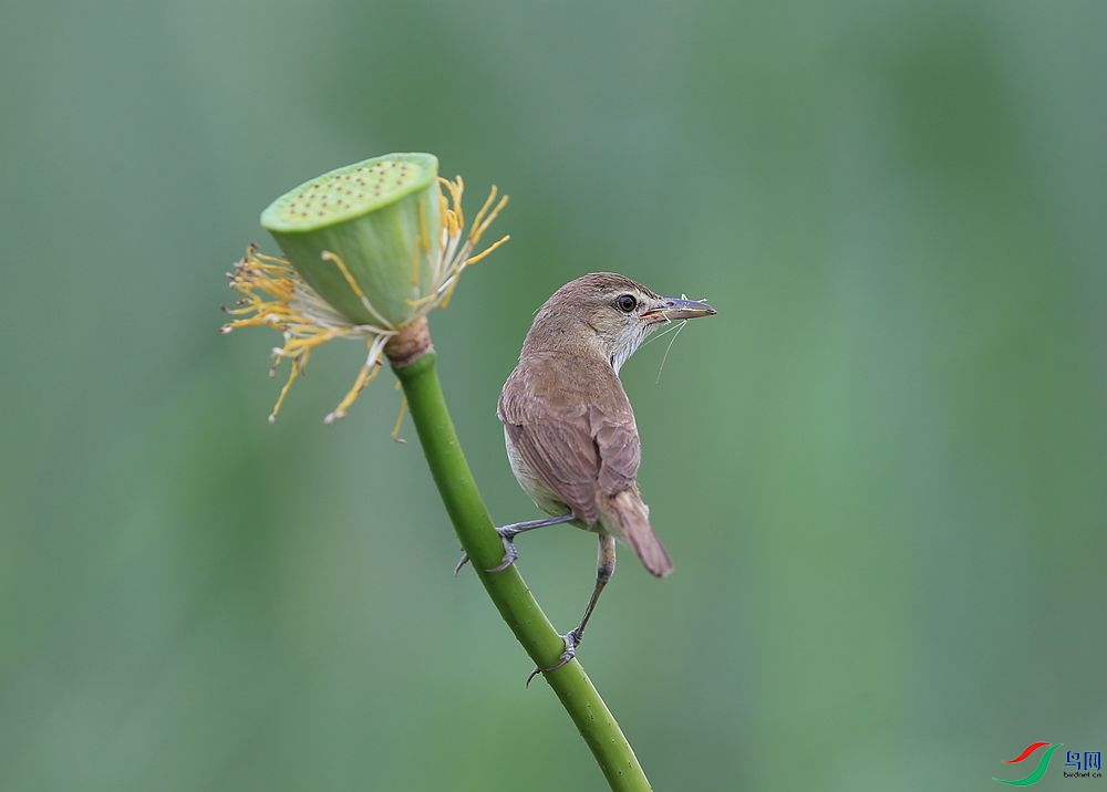 D72T0595.JPG