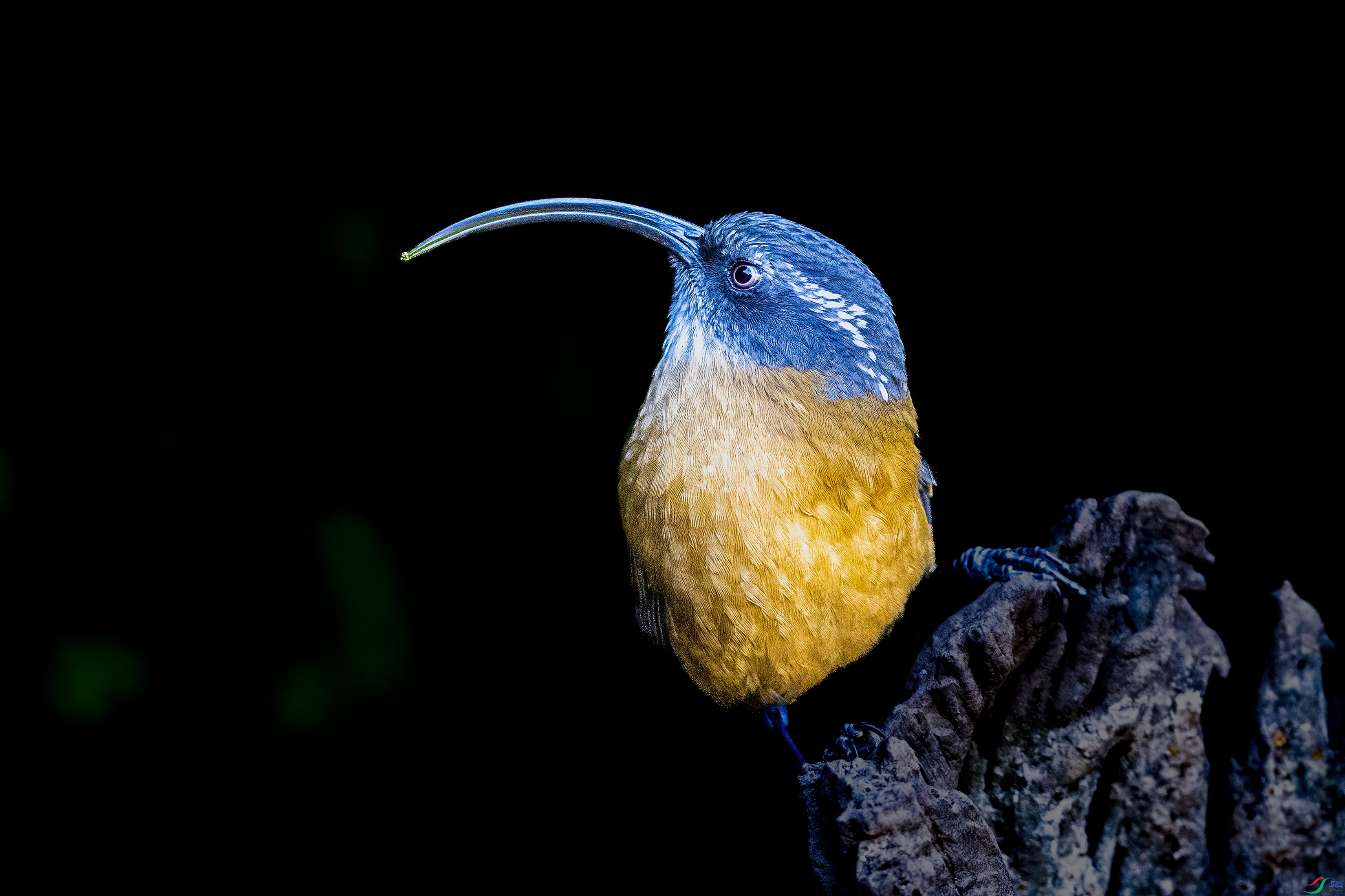 DSC_7662.jpg