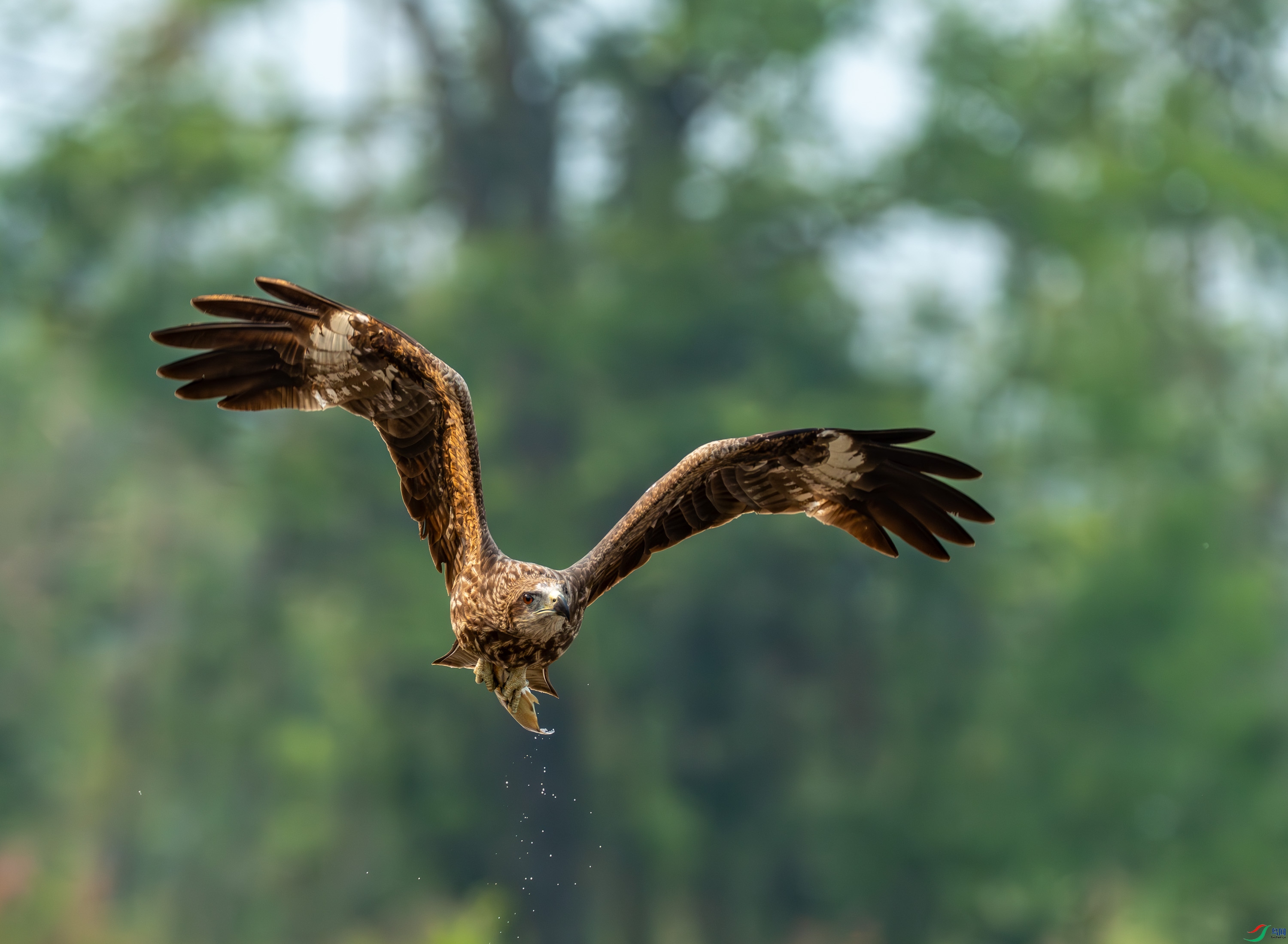 ��� (10 - 52).jpg