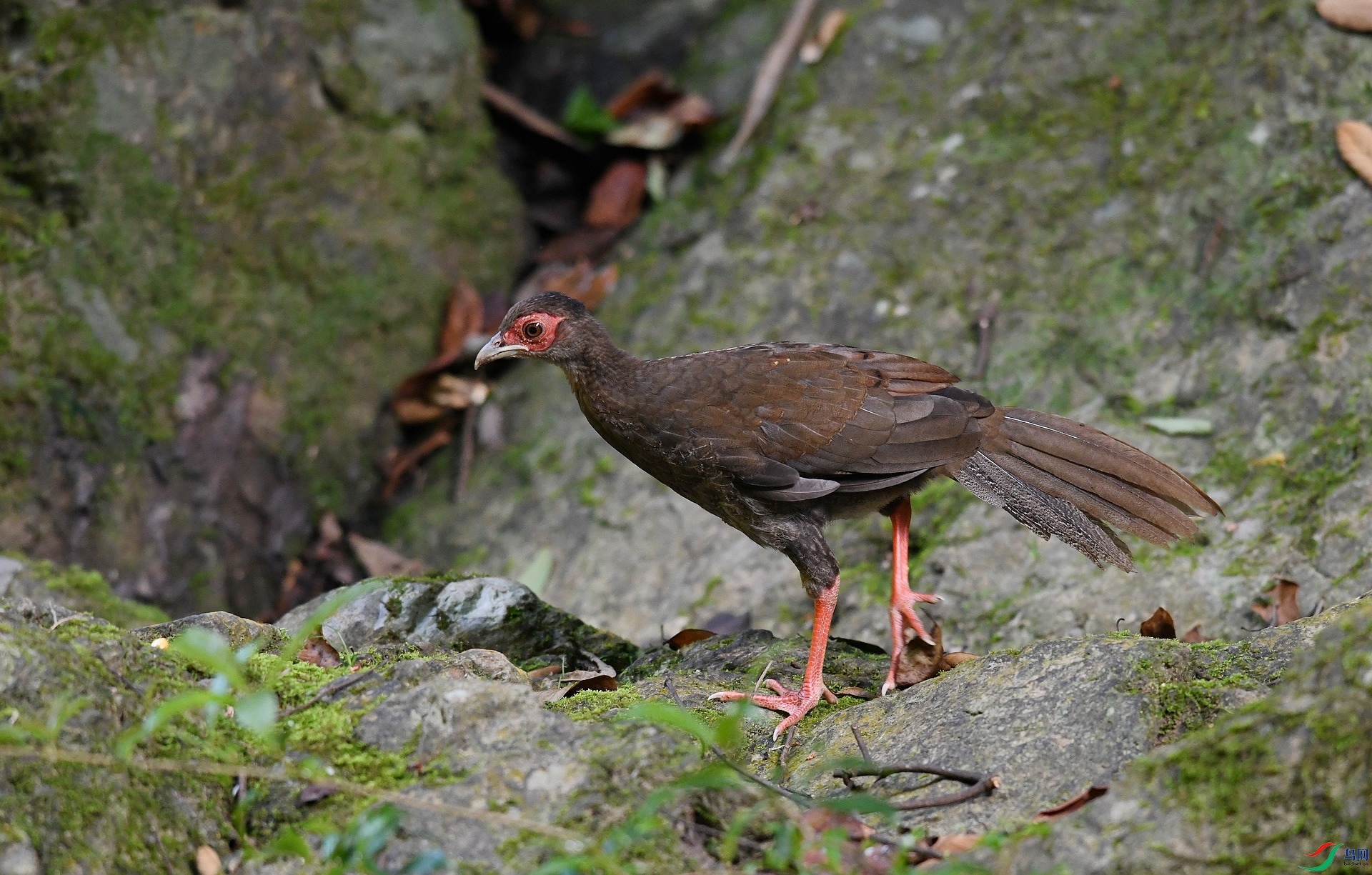 DSC_2697.jpg