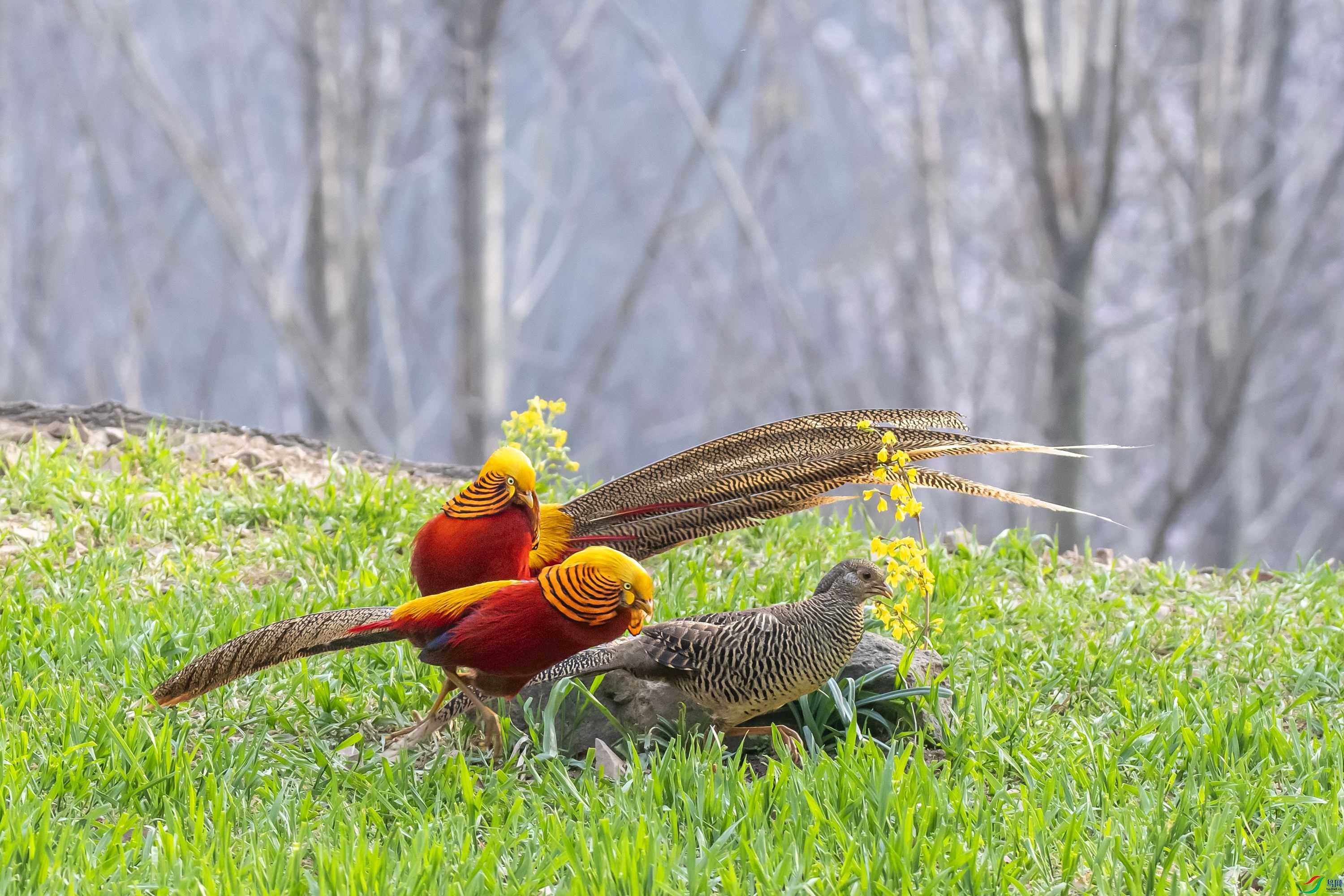 DSC_1841.jpg