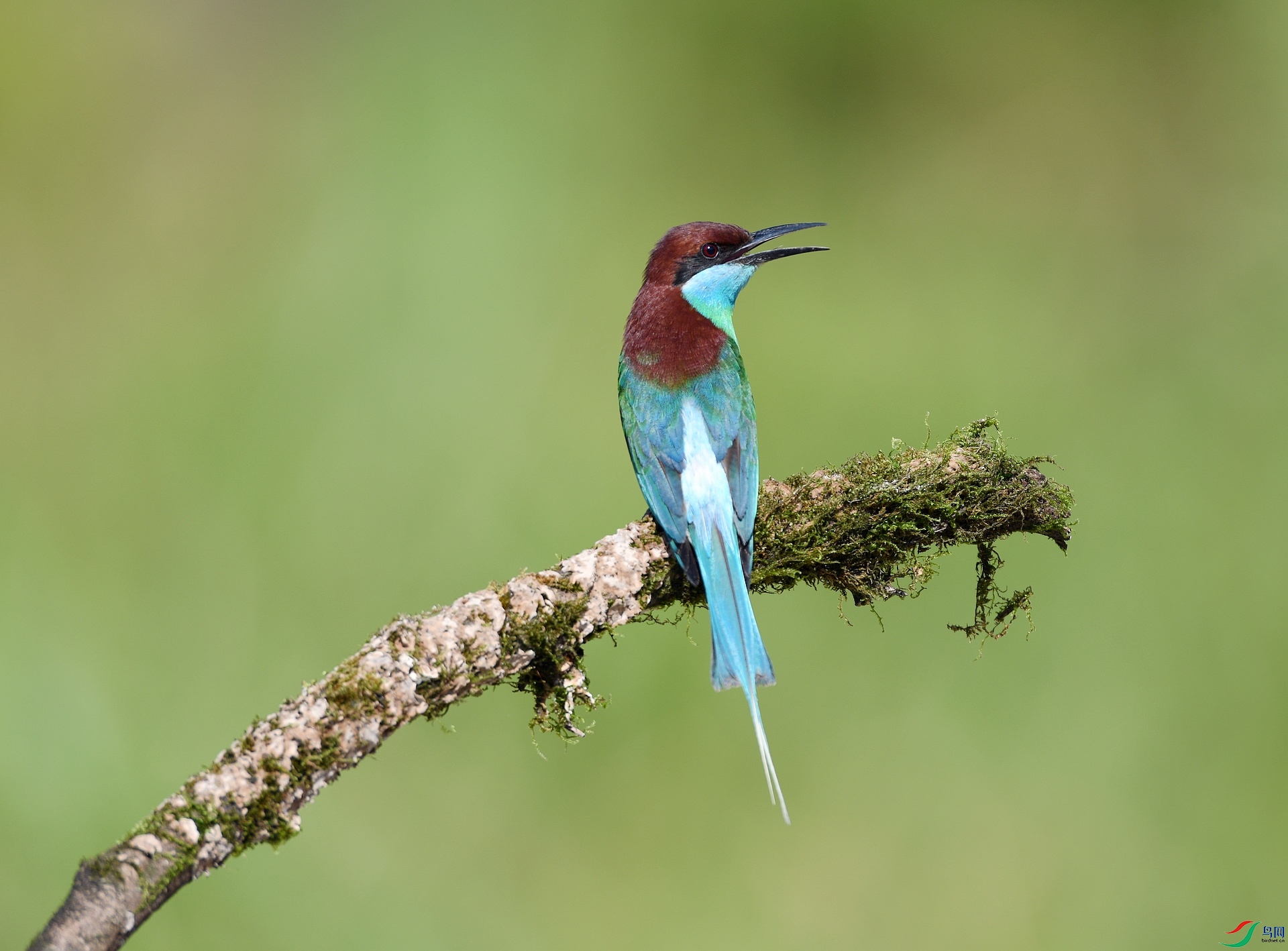DSC_0405.jpg