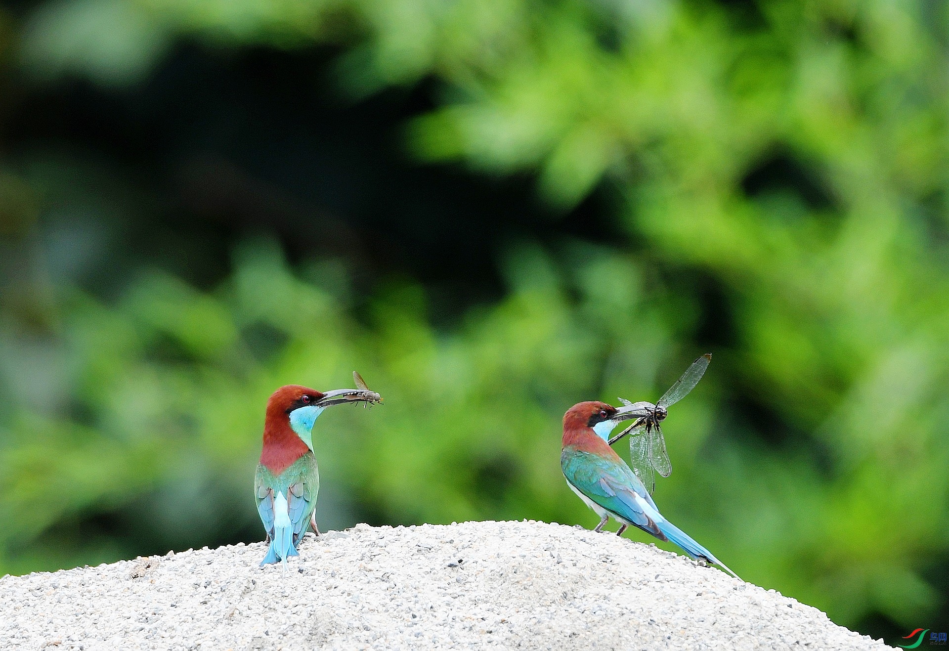 DSC_0365.jpg