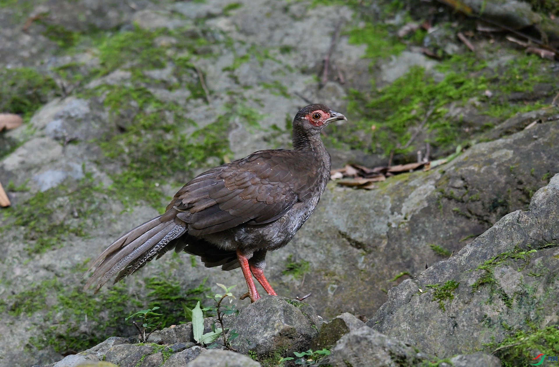 DSC_2750.jpg