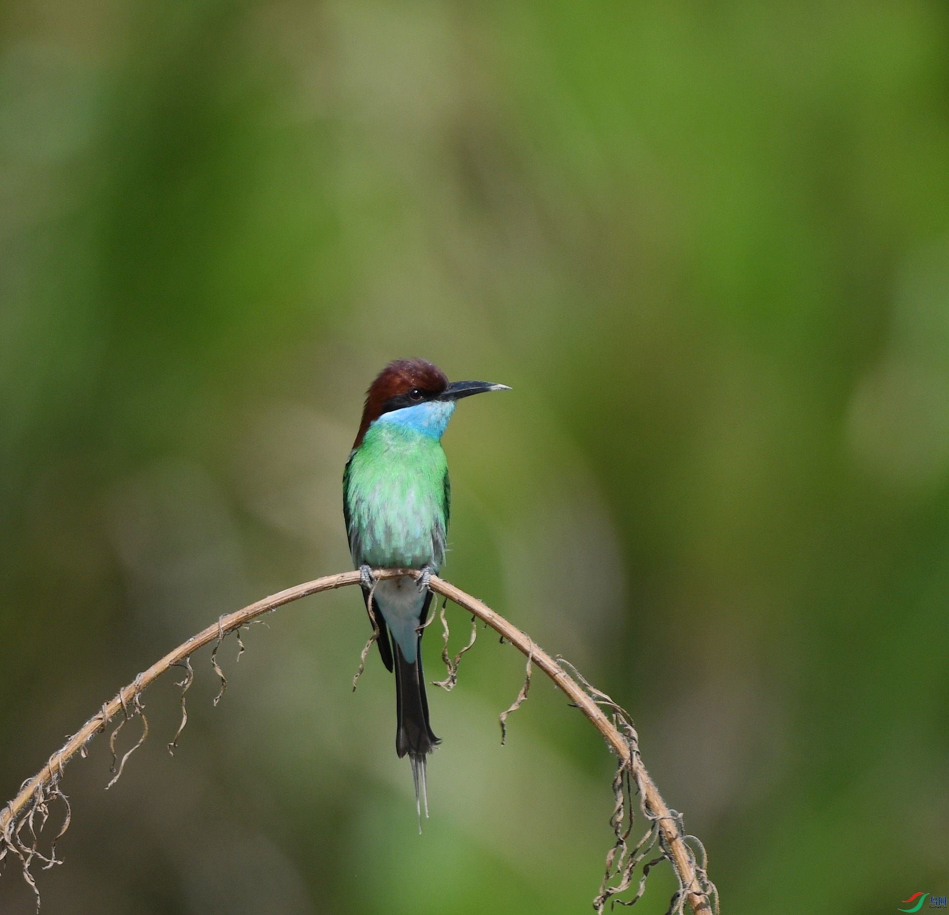 DSC_5045.jpg