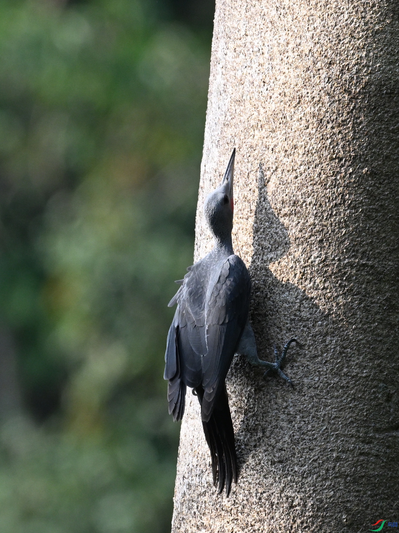 DSC_5363.JPG