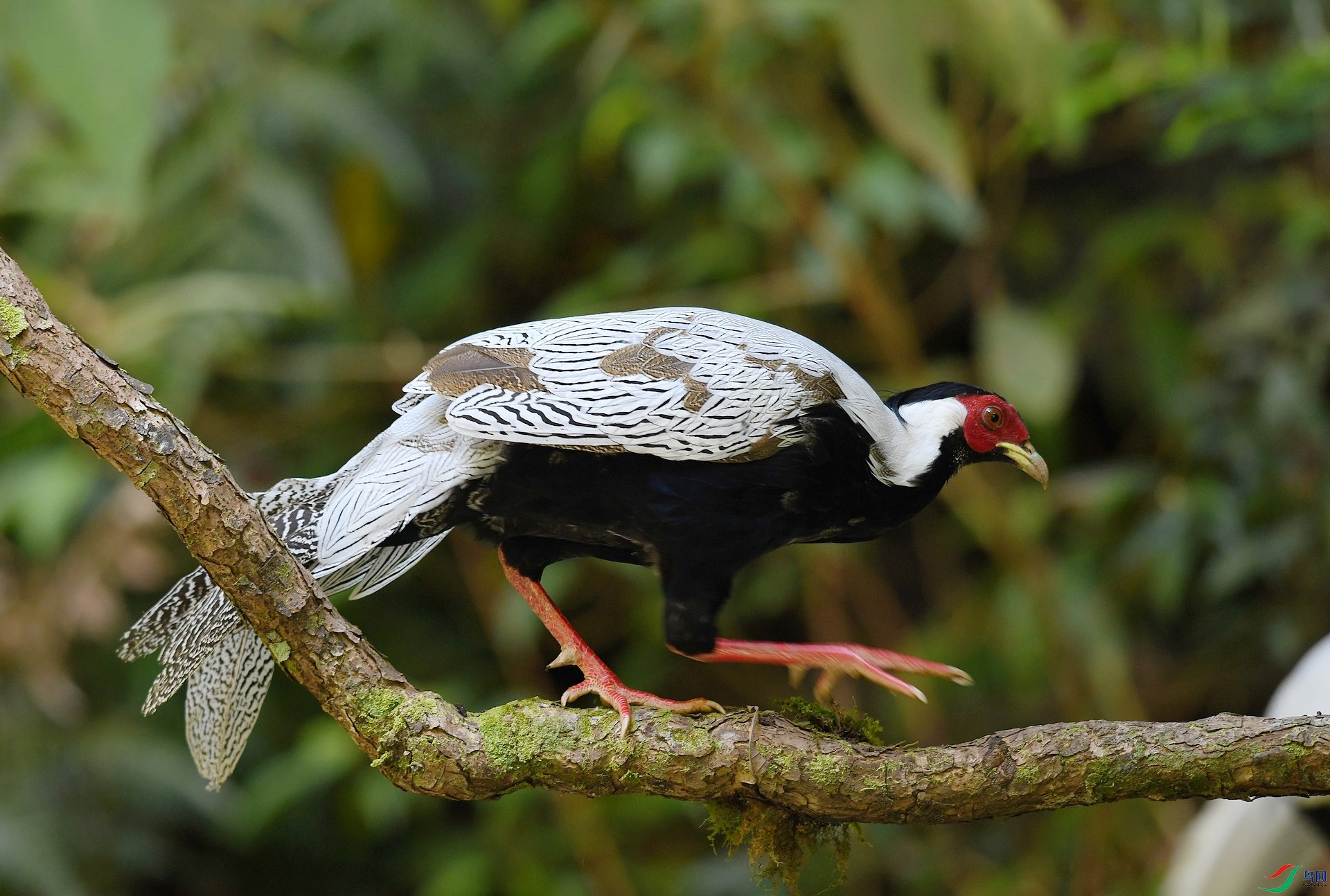 DSC_2015.jpg