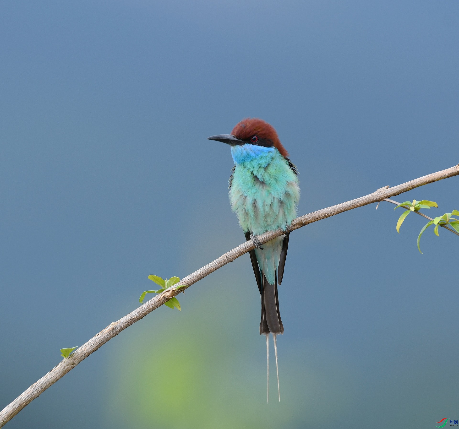 DSC_5057.jpg