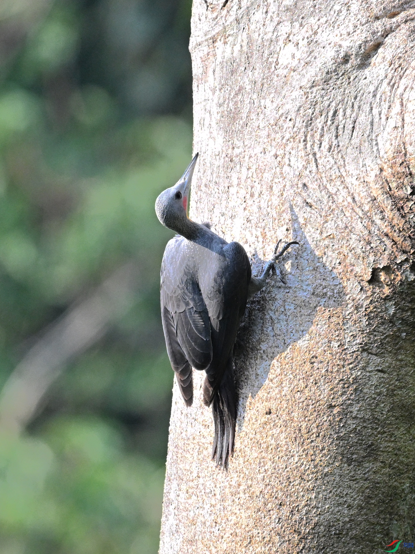 DSC_5373.JPG