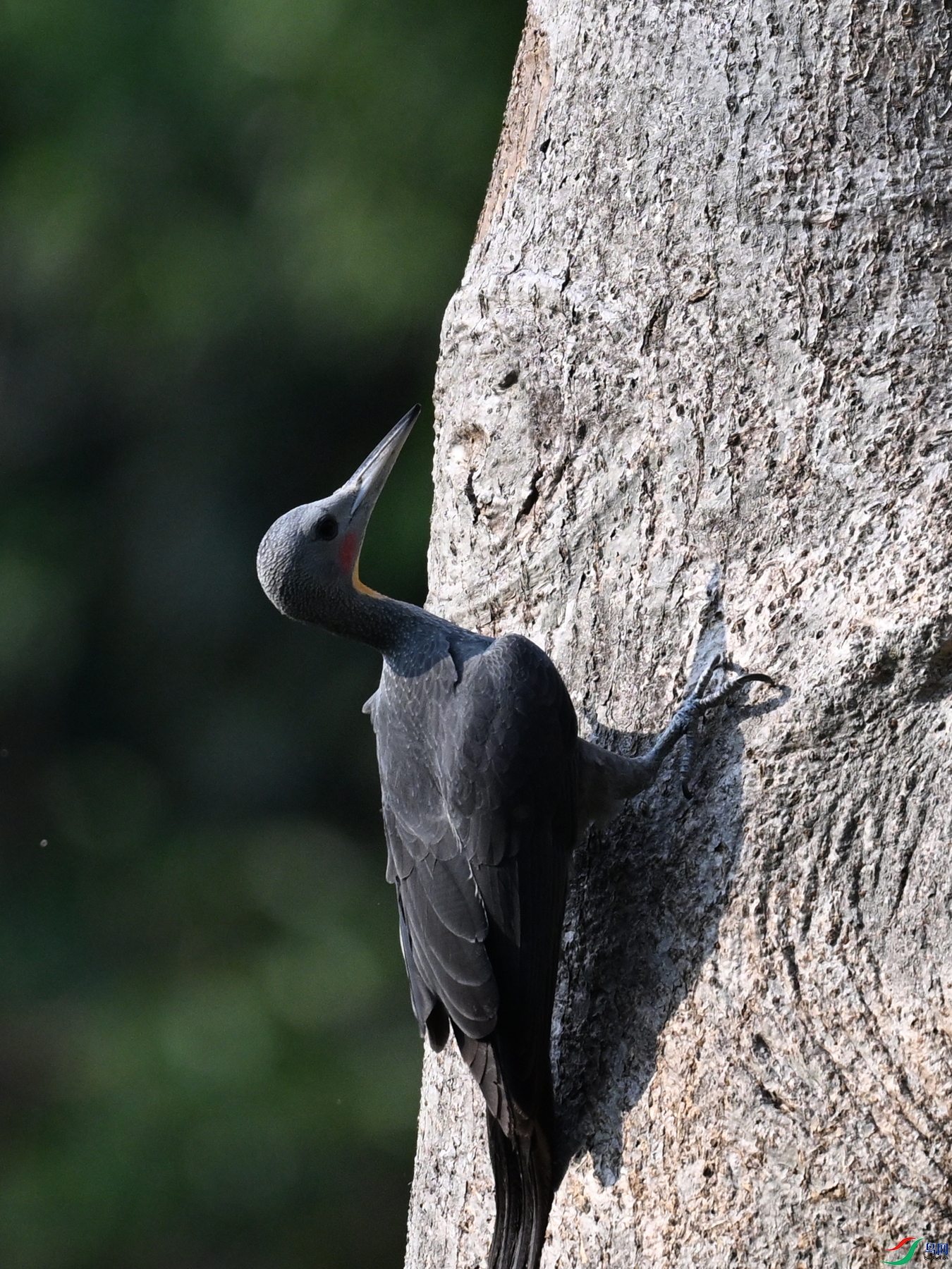 DSC_5375.JPG