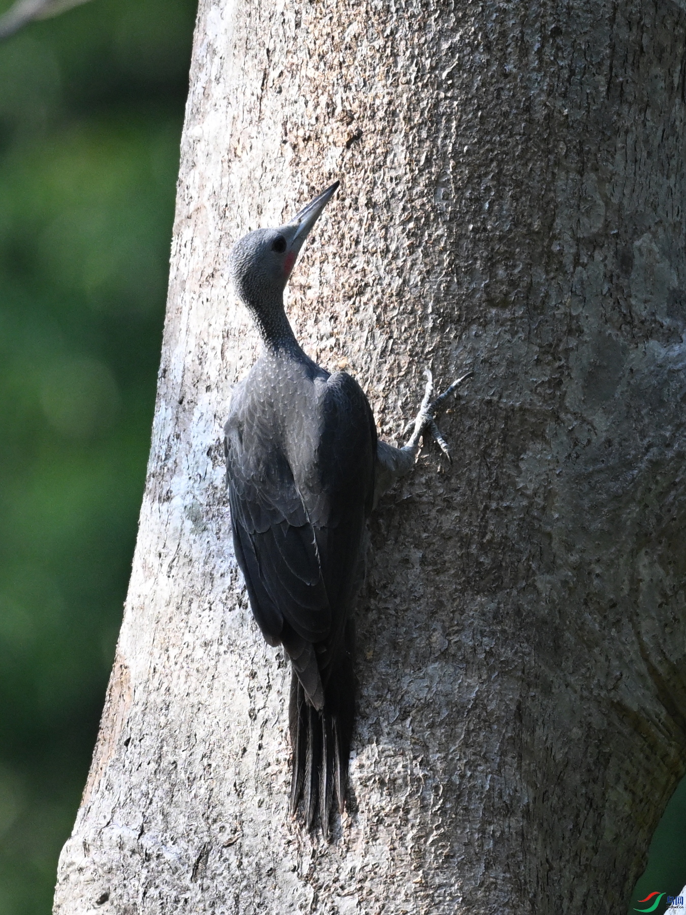 DSC_5381.JPG