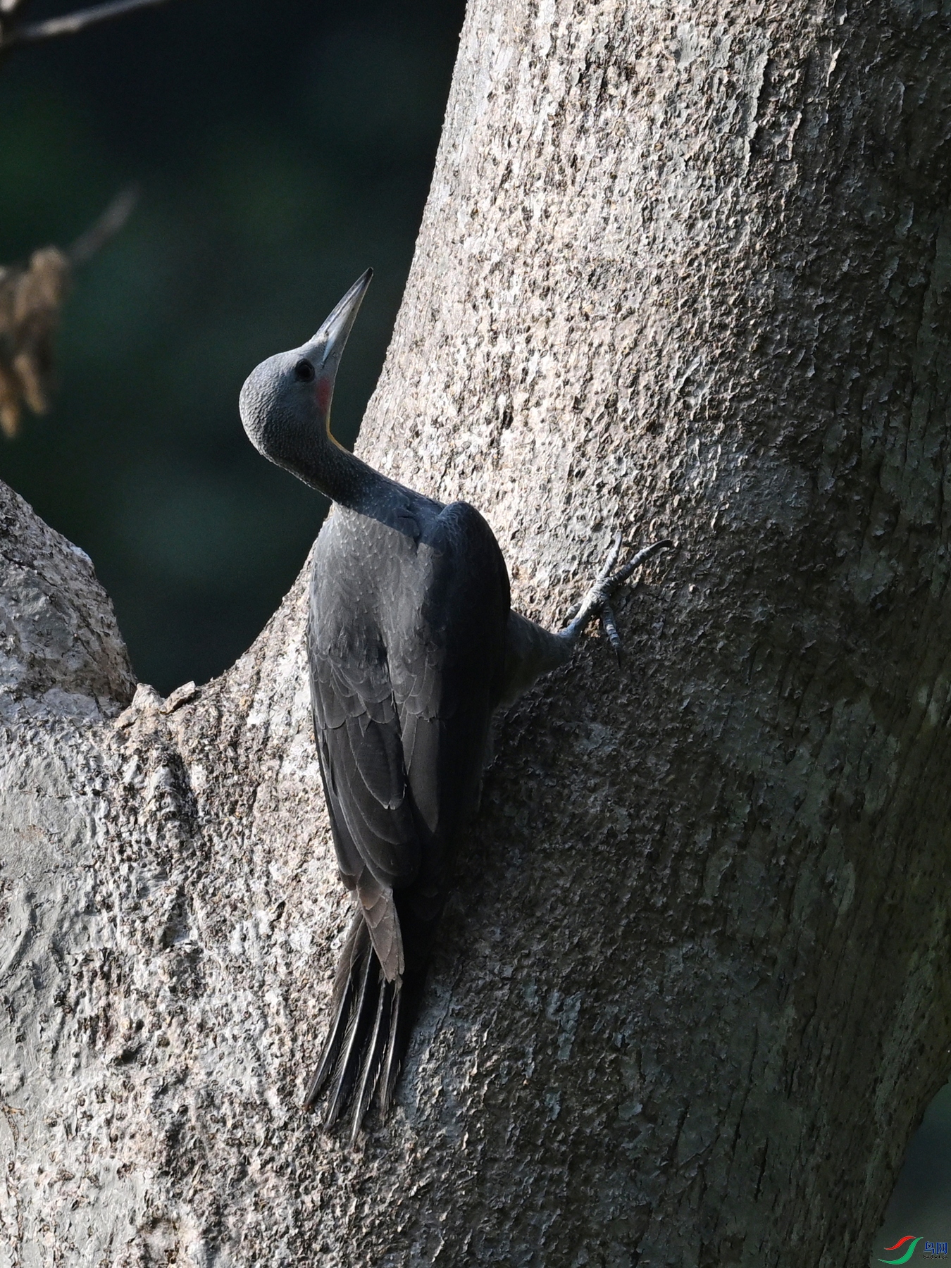 DSC_5391.JPG