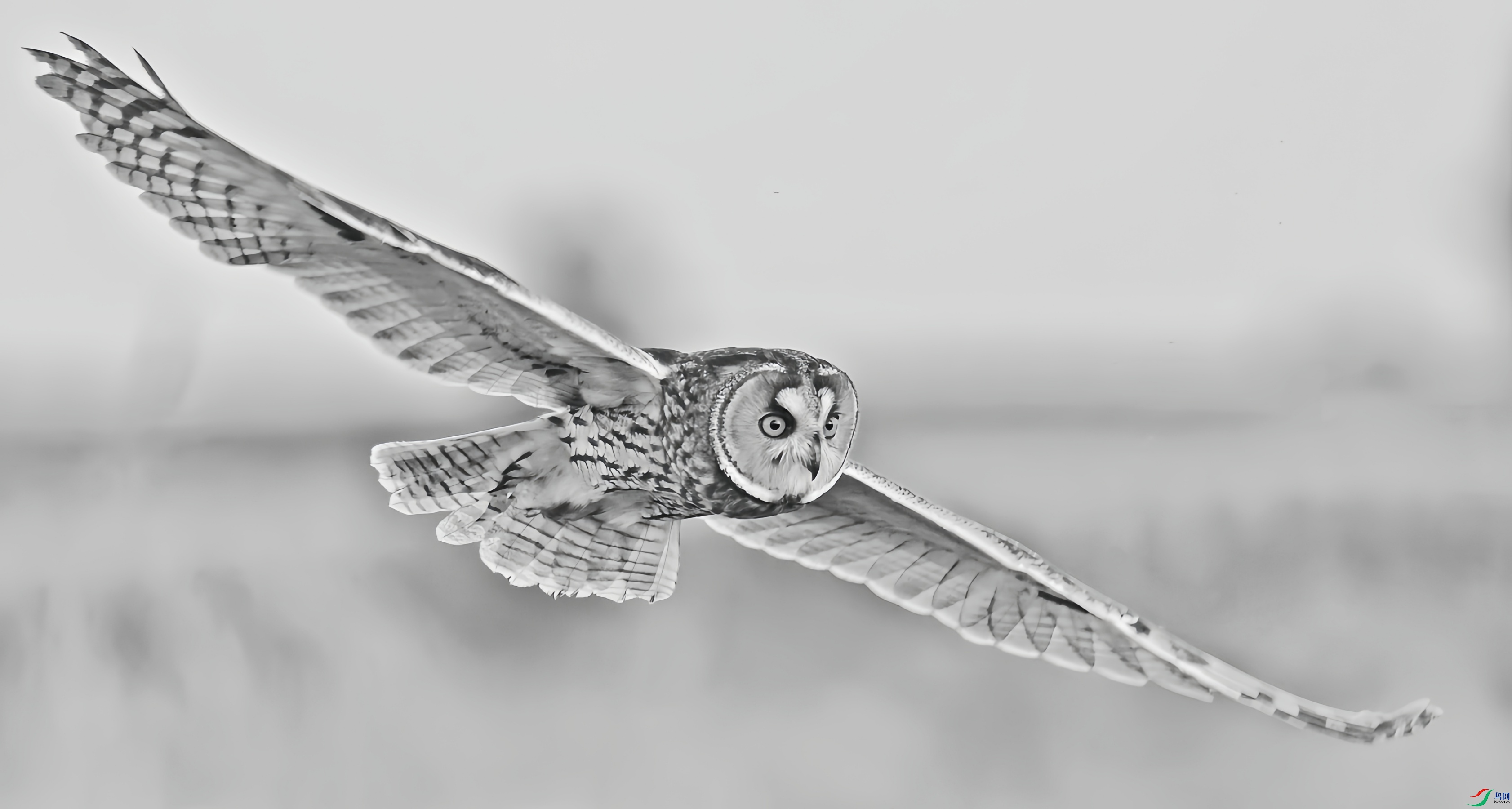 2F6A5204_����_����_����_����.jpg