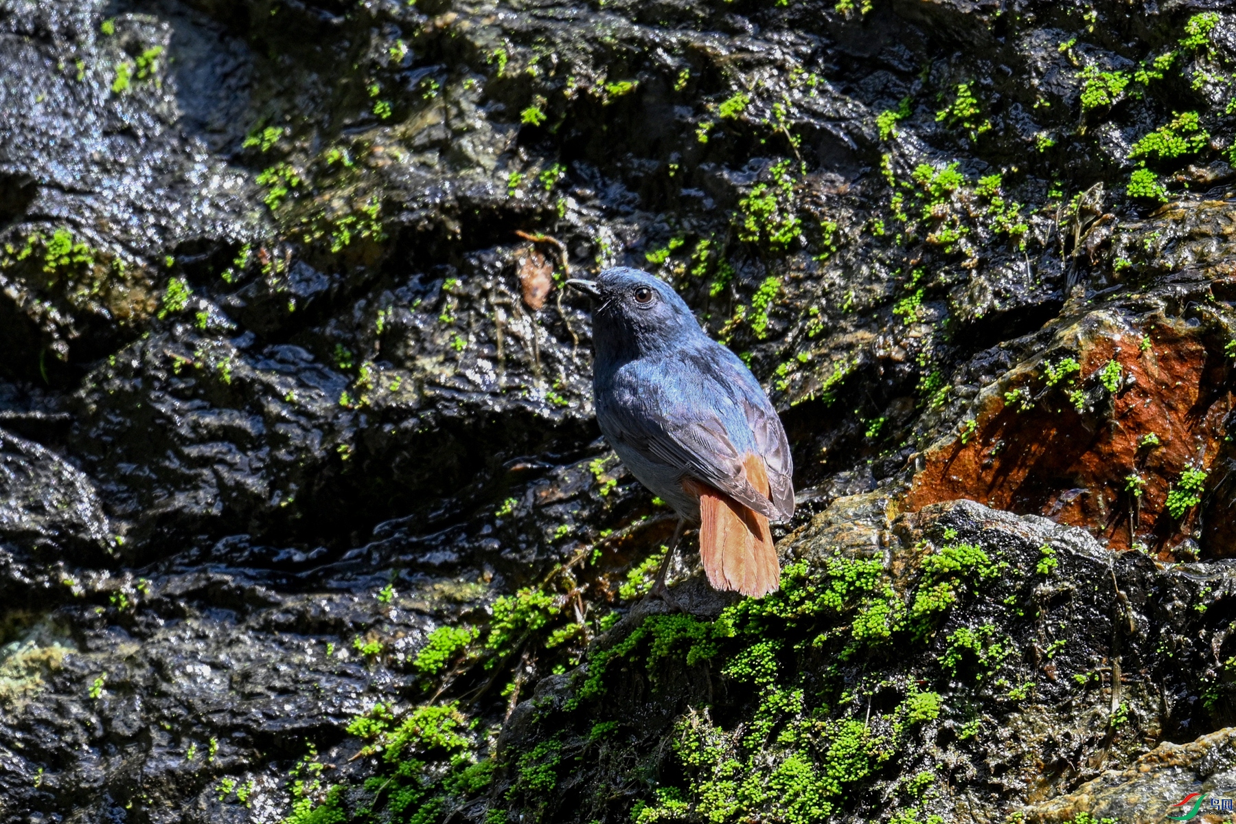 DSC_2255.JPG