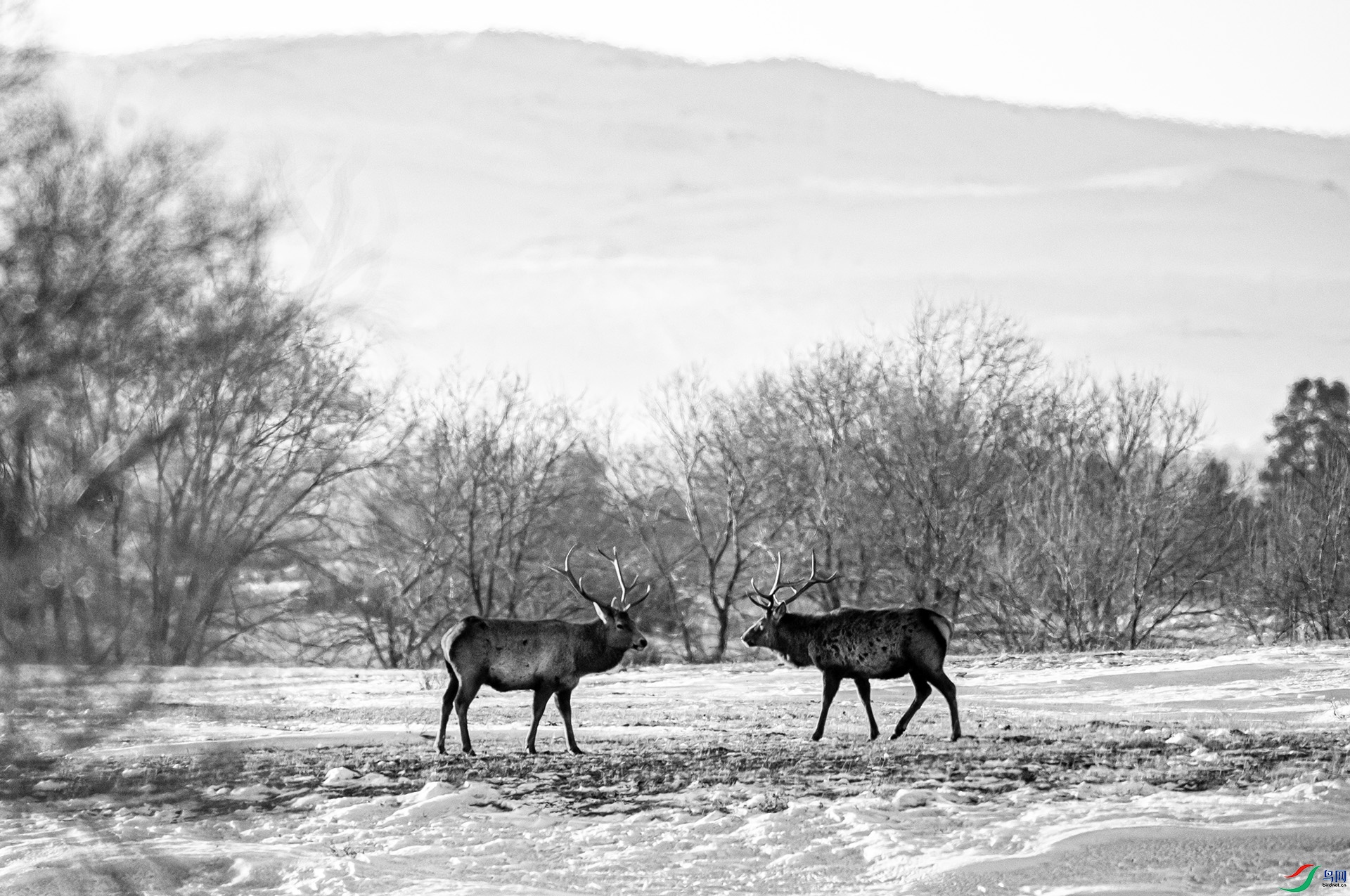 _DSC3985.jpg