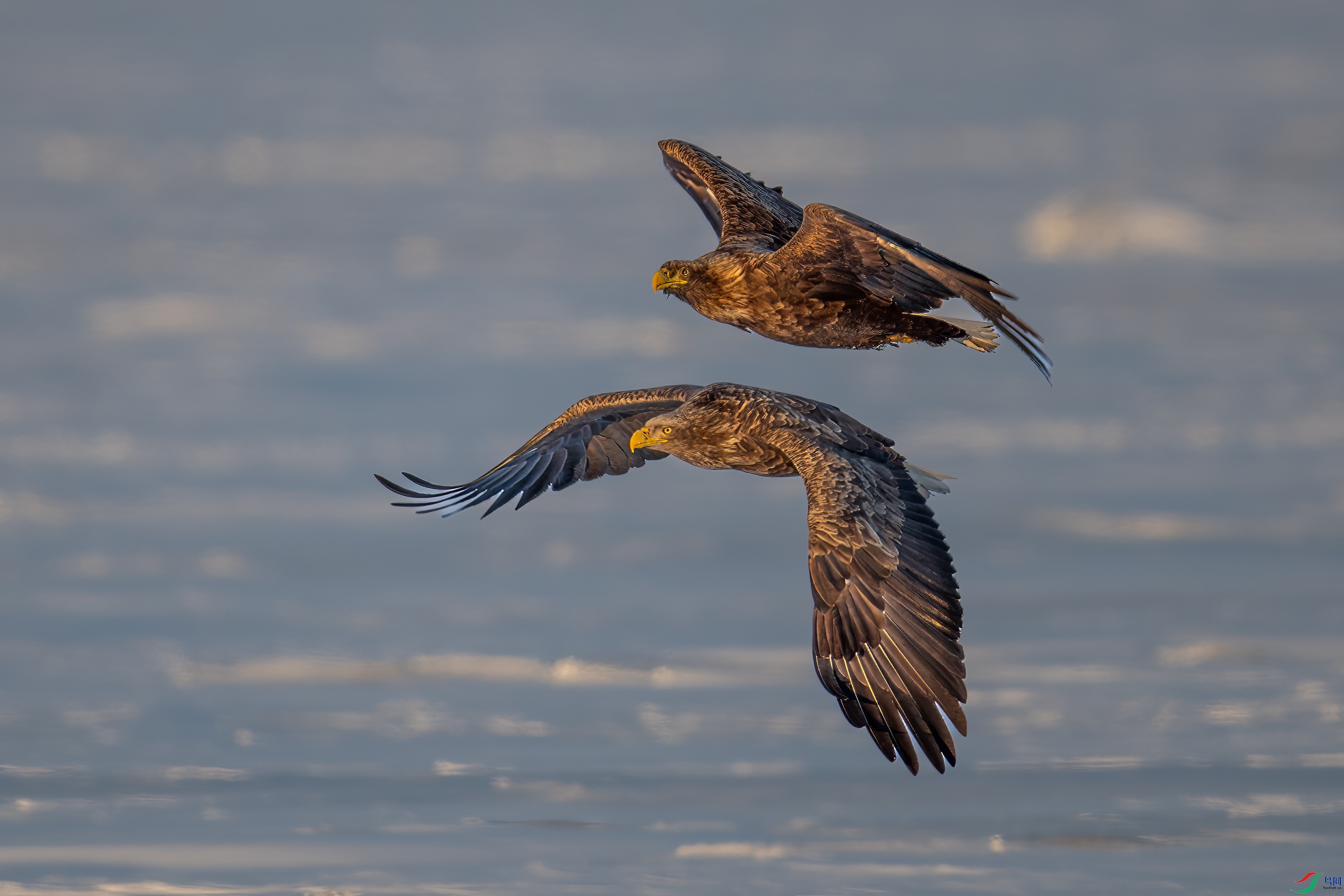 DSC_7593-A2560.jpg