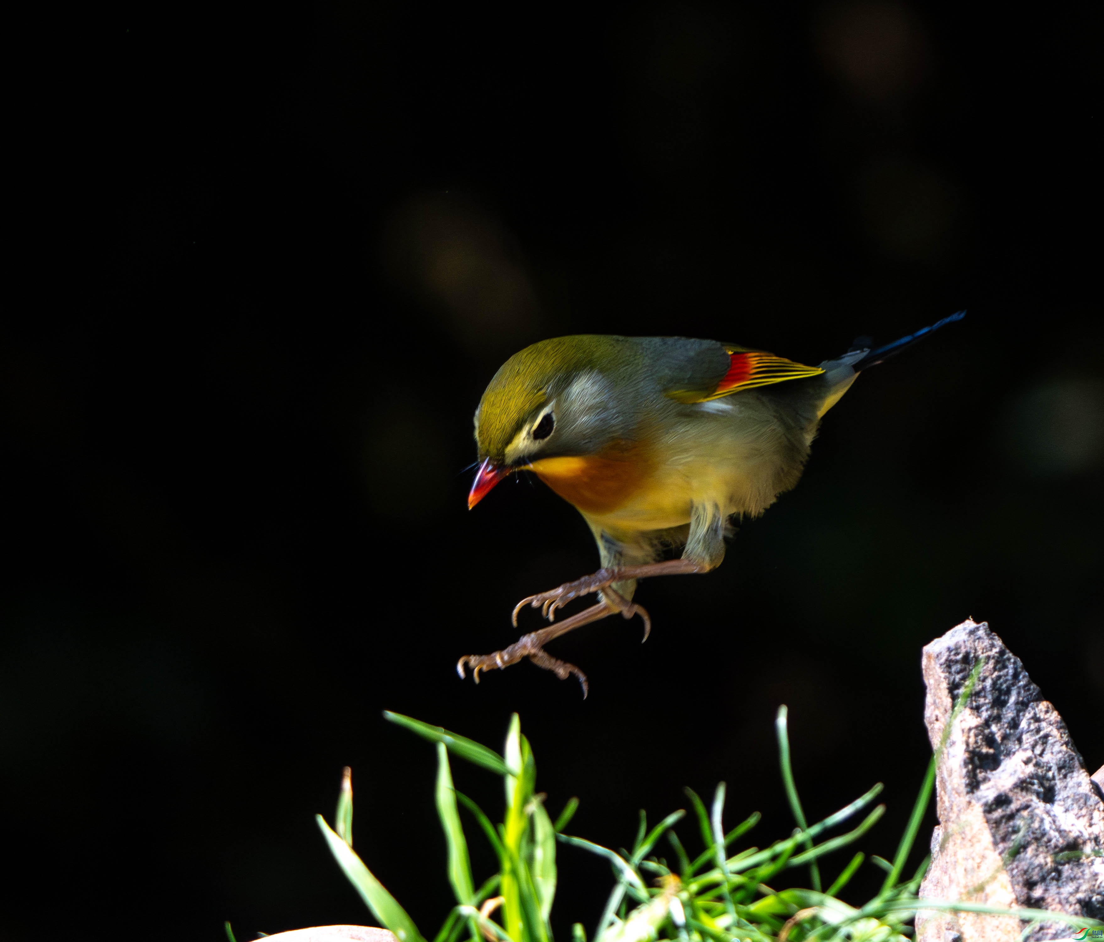 DSC01342.jpg