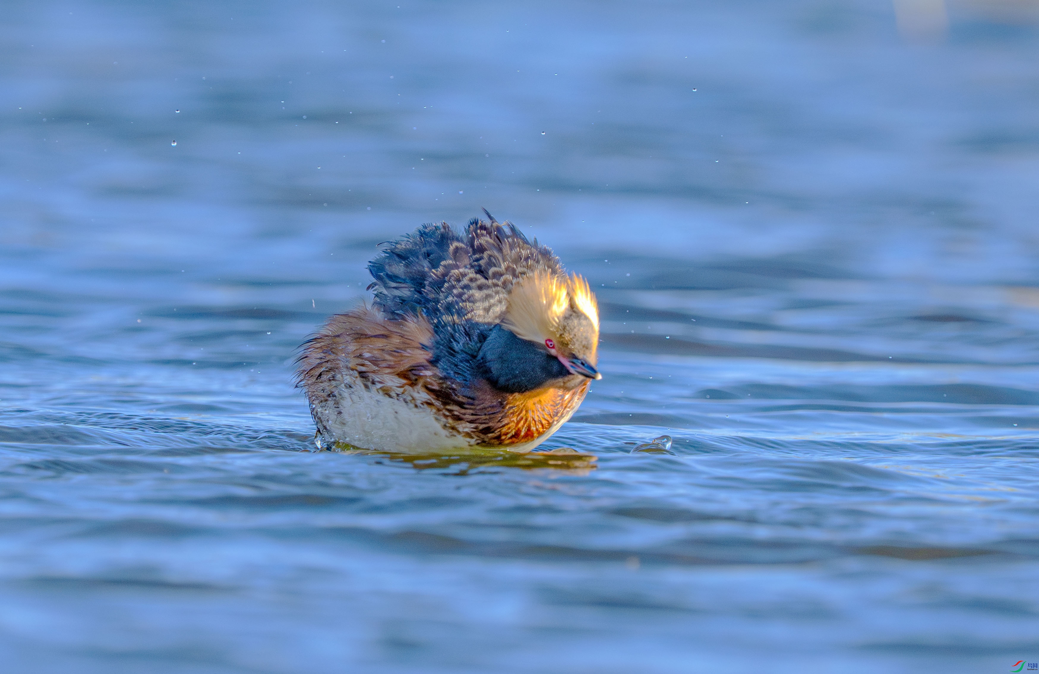 DSC_3791 ����.jpg