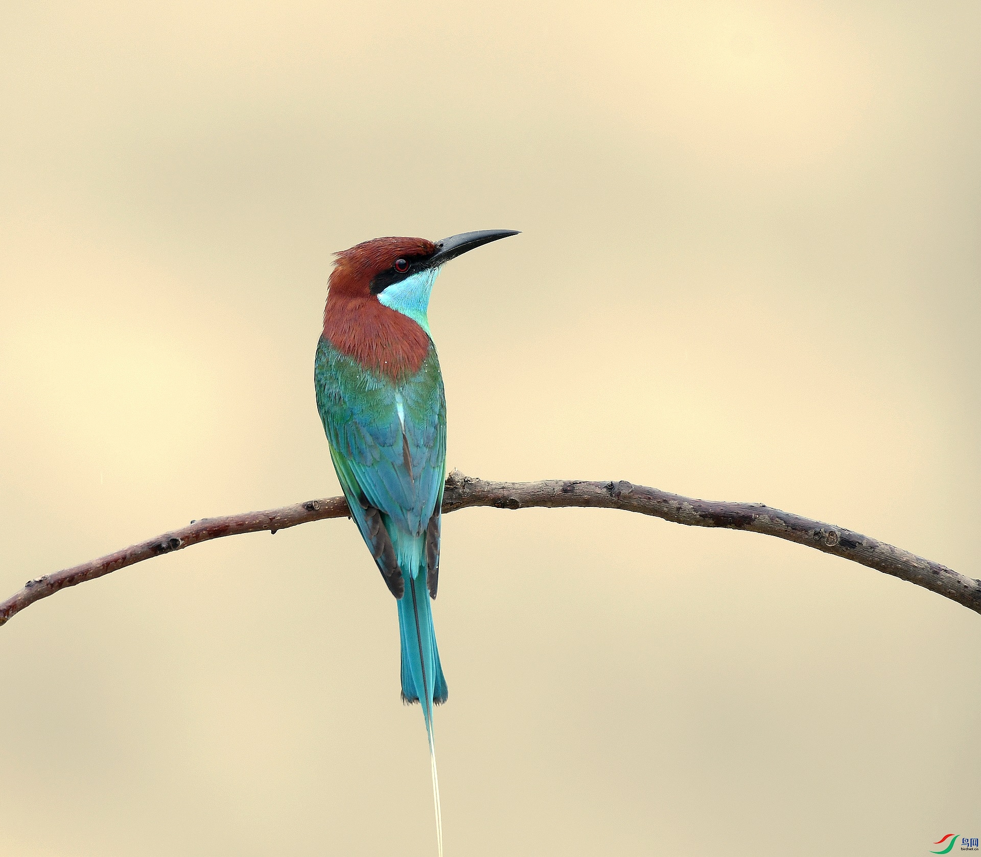 DSC_0703.jpg