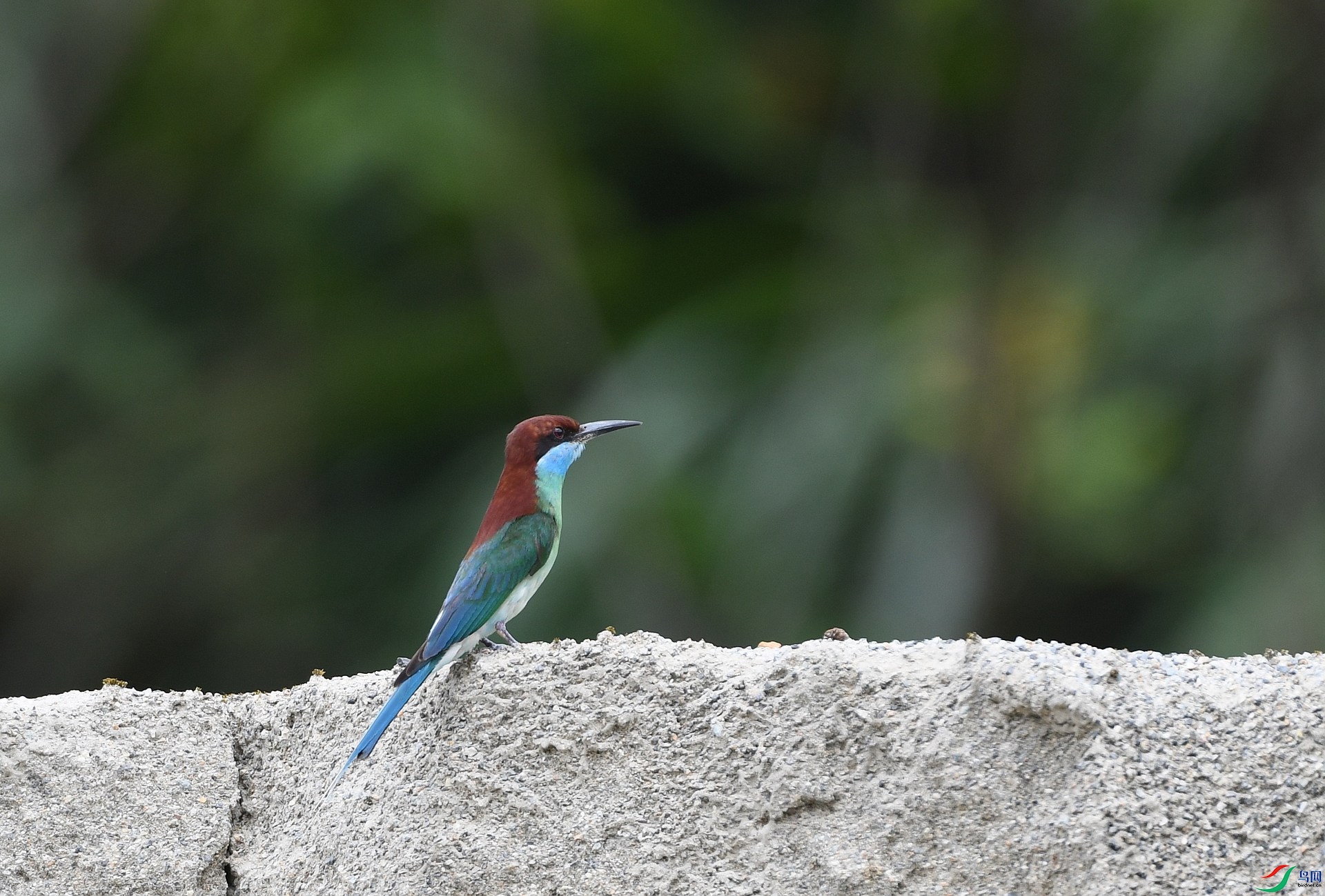 DSC_0332.jpg