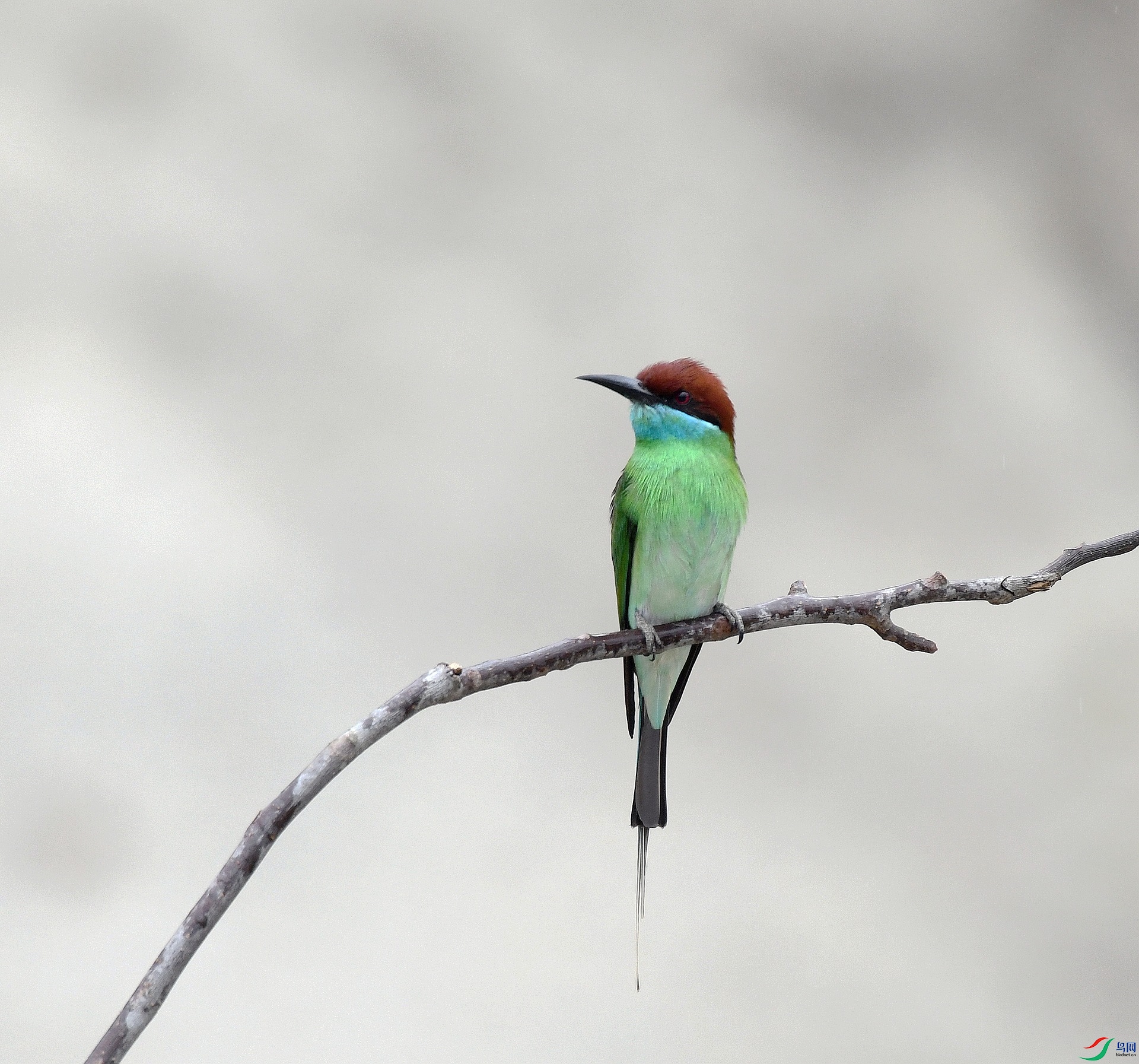 DSC_0707.jpg