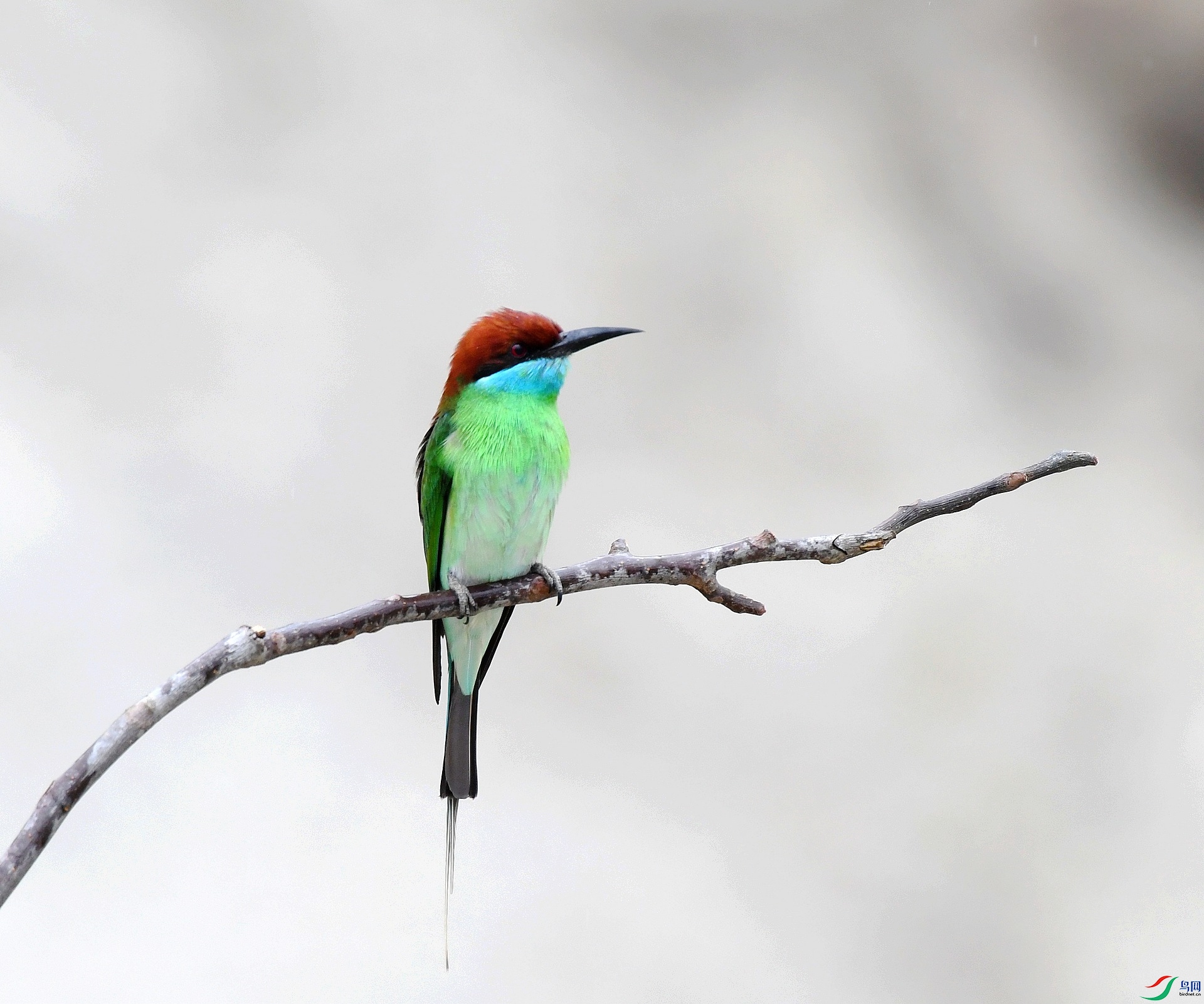 DSC_0708.jpg