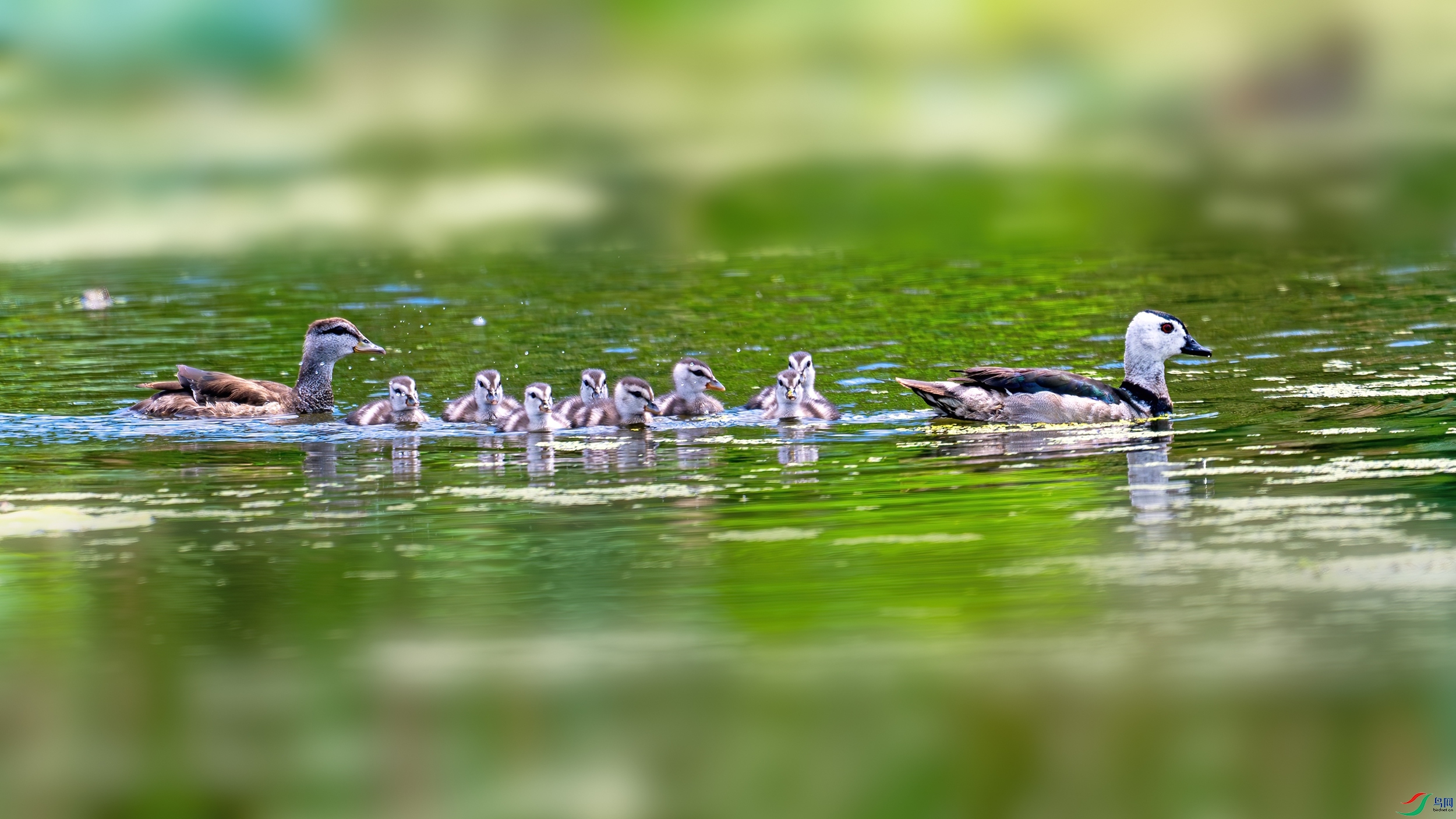 _DSC9751_����.jpg