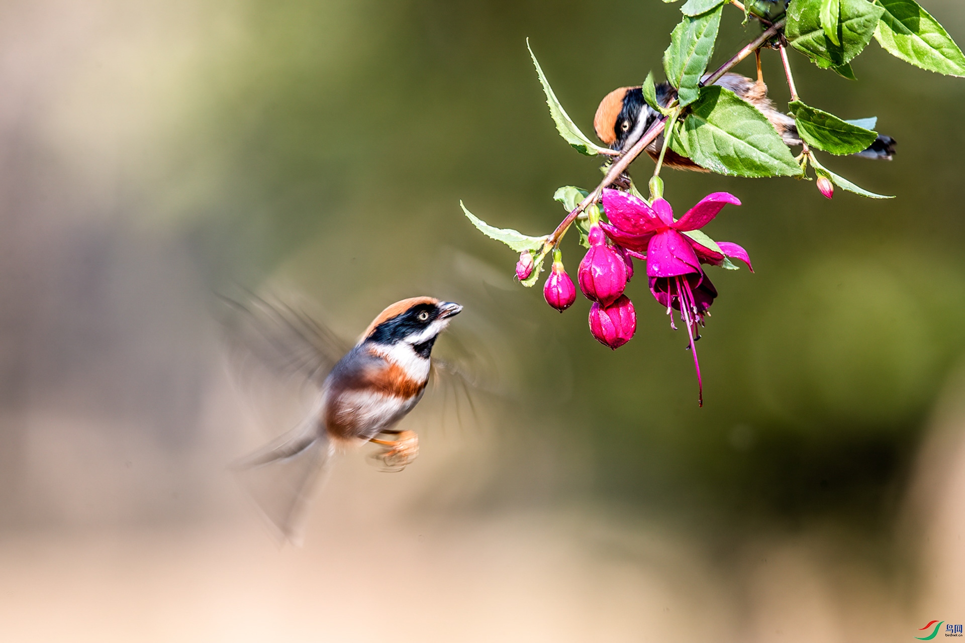 10-1.jpg