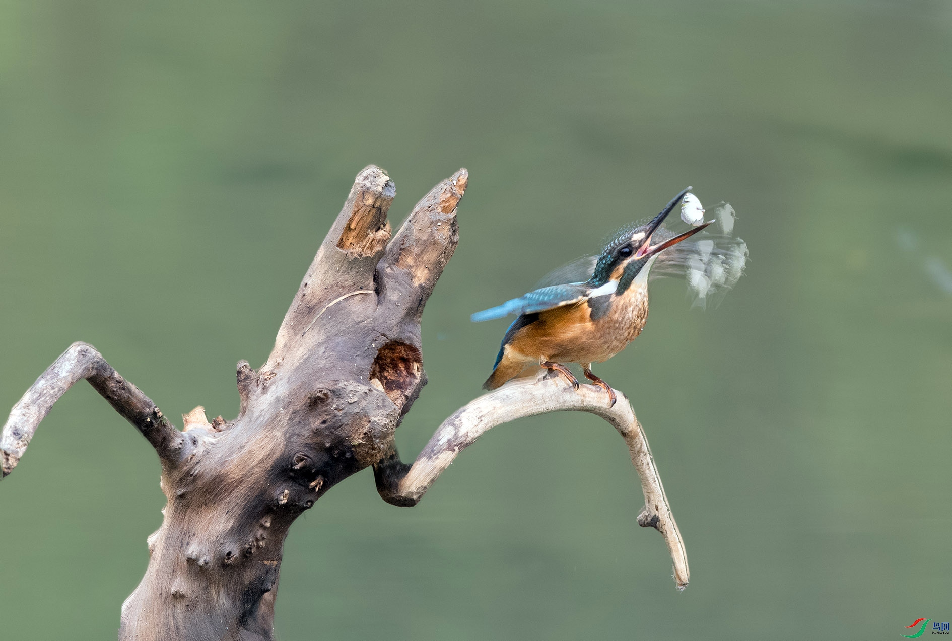 DSC_7566_��ͼ�� ���� 2.jpg